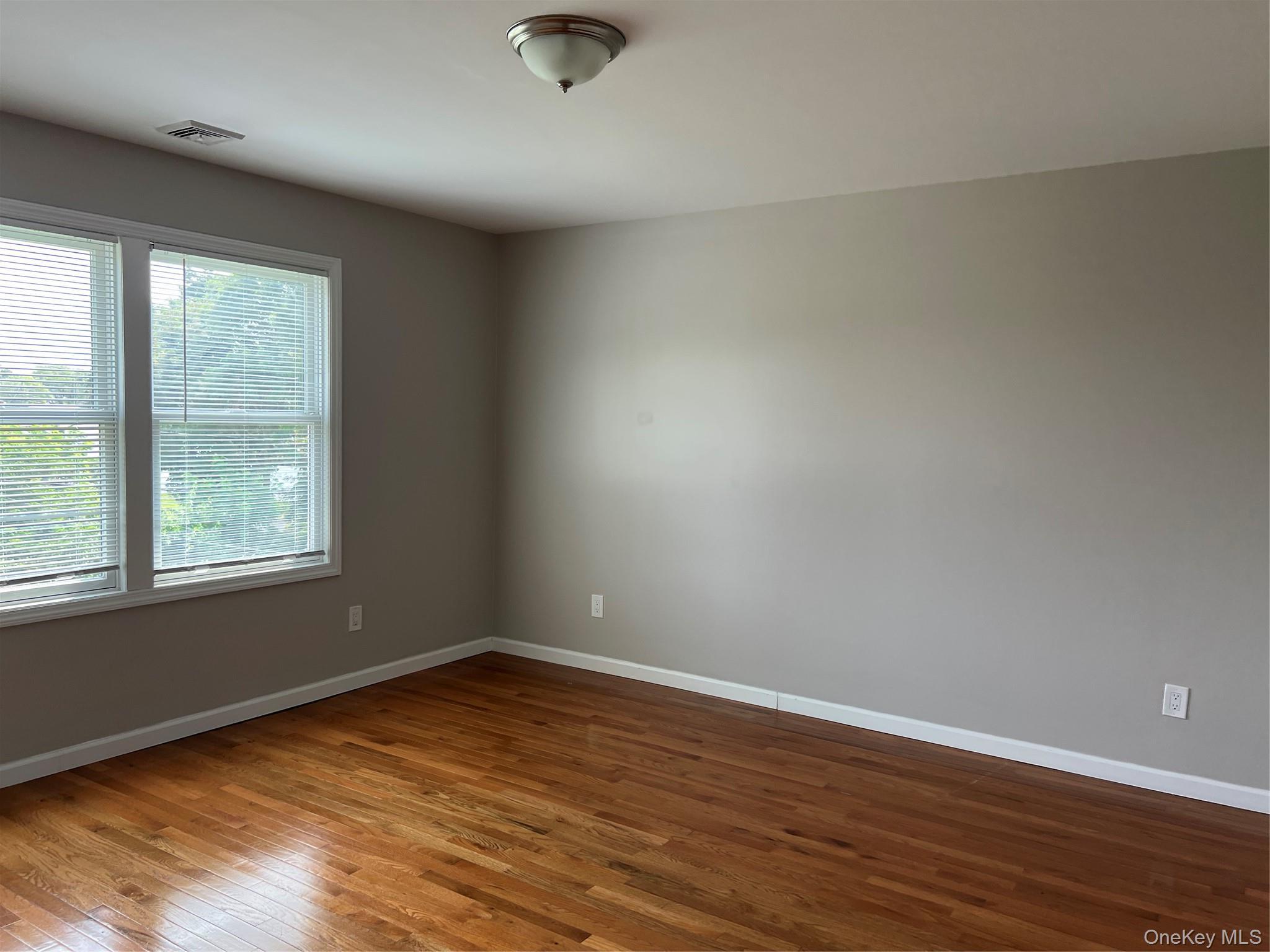 Single Family Albany Avenue Suffolk County, NY 11701, MLS-1039024-7
