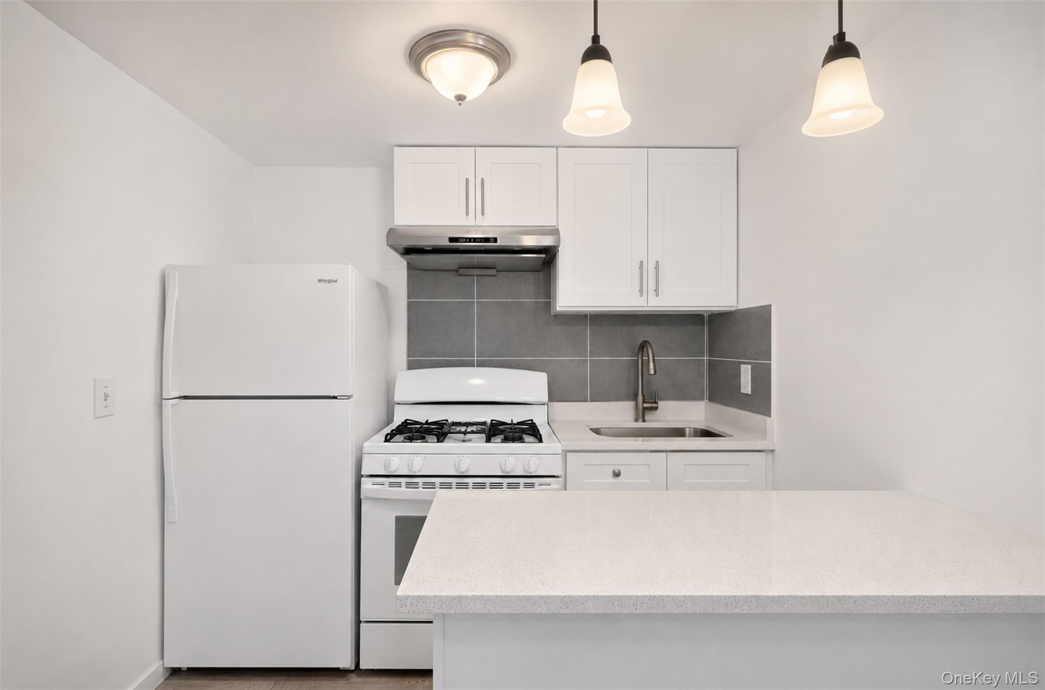 Single Family 153 Street Queens, NY 11355, MLS-1039065-18