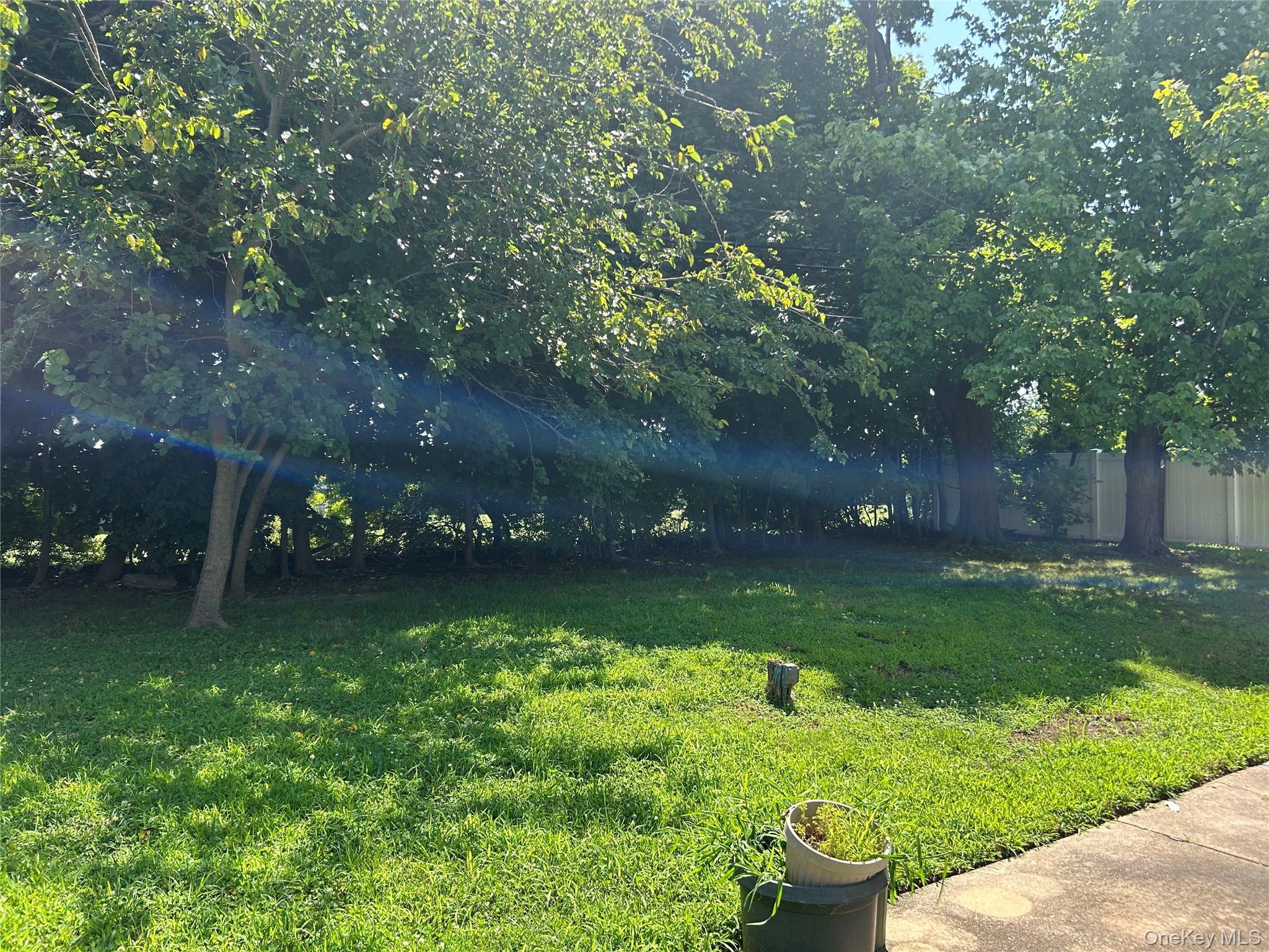 Single Family Jean Place Nassau County, NY 11791, MLS-1039112-14