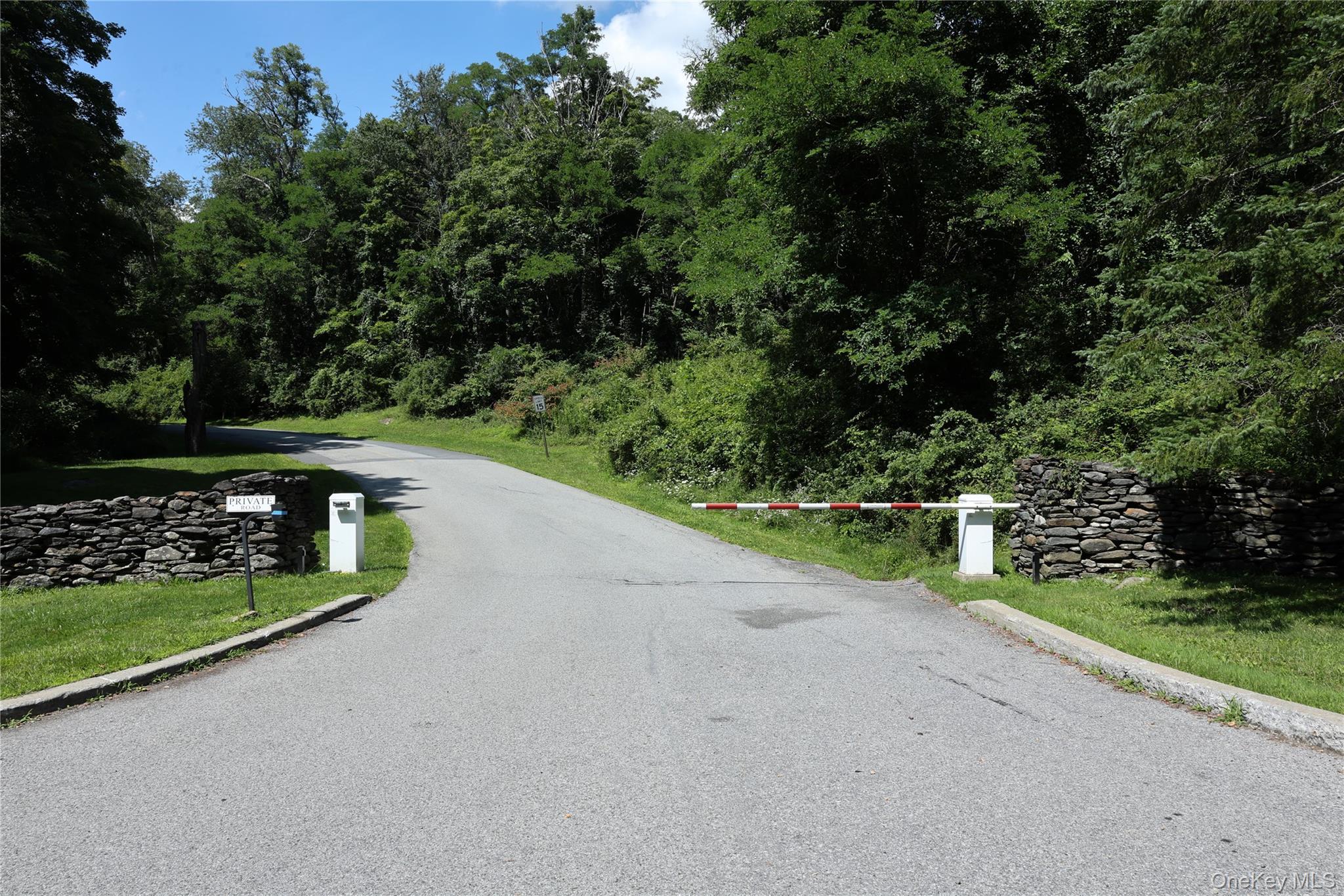 Single Family Deer Hollow Road Dutchess County, NY 12570, MLS-1039126-3