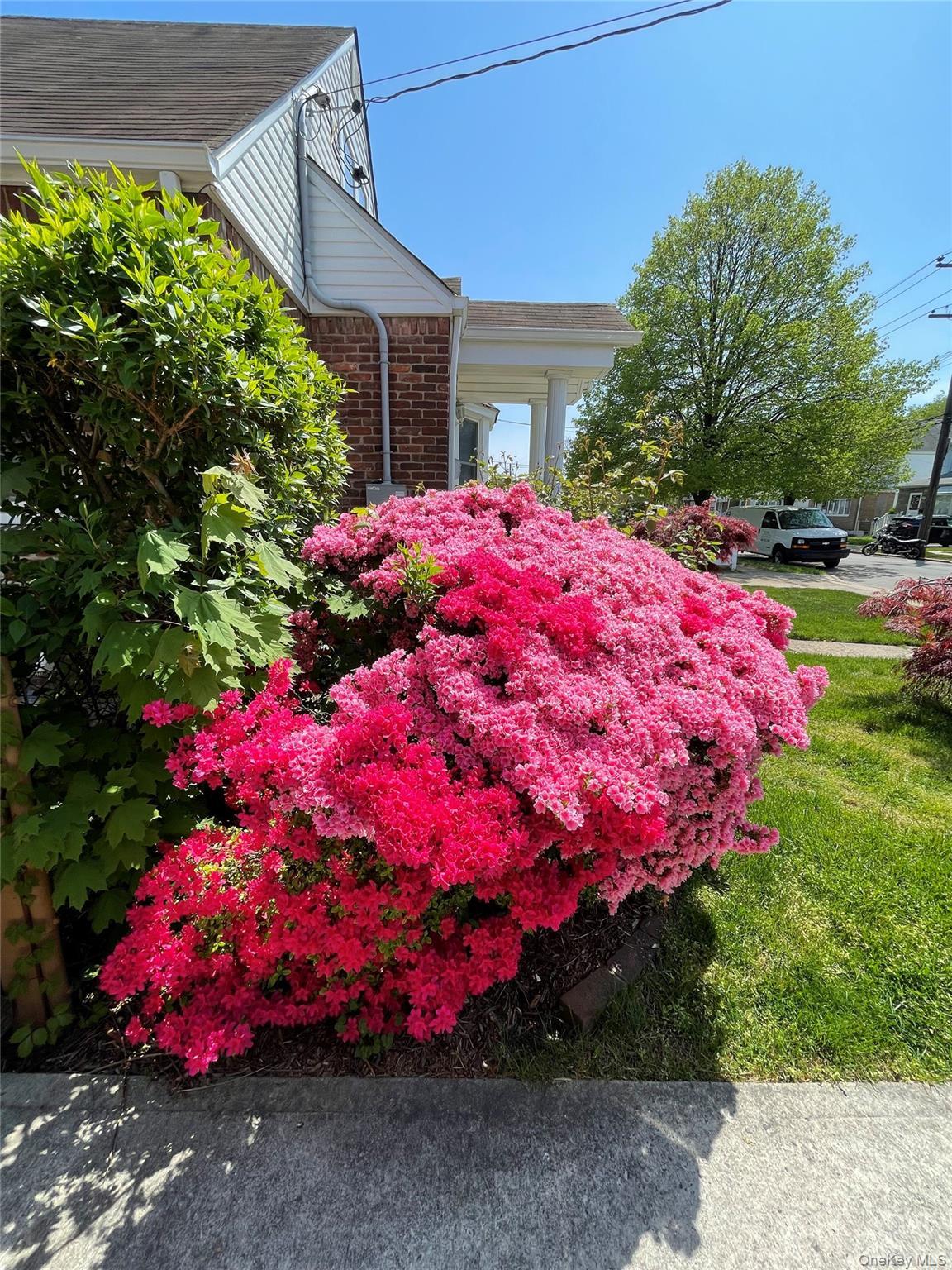 Single Family Fendale Street  Nassau County, NY 11010, MLS-1039188-39