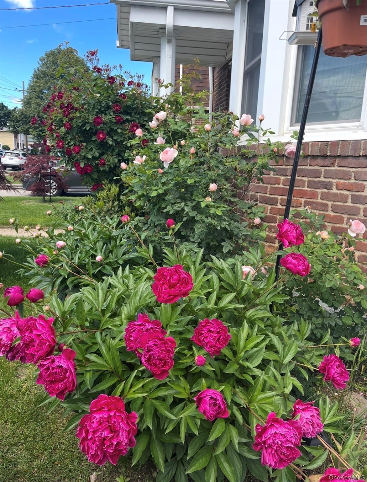 Single Family Fendale Street  Nassau County, NY 11010, MLS-1039188-41