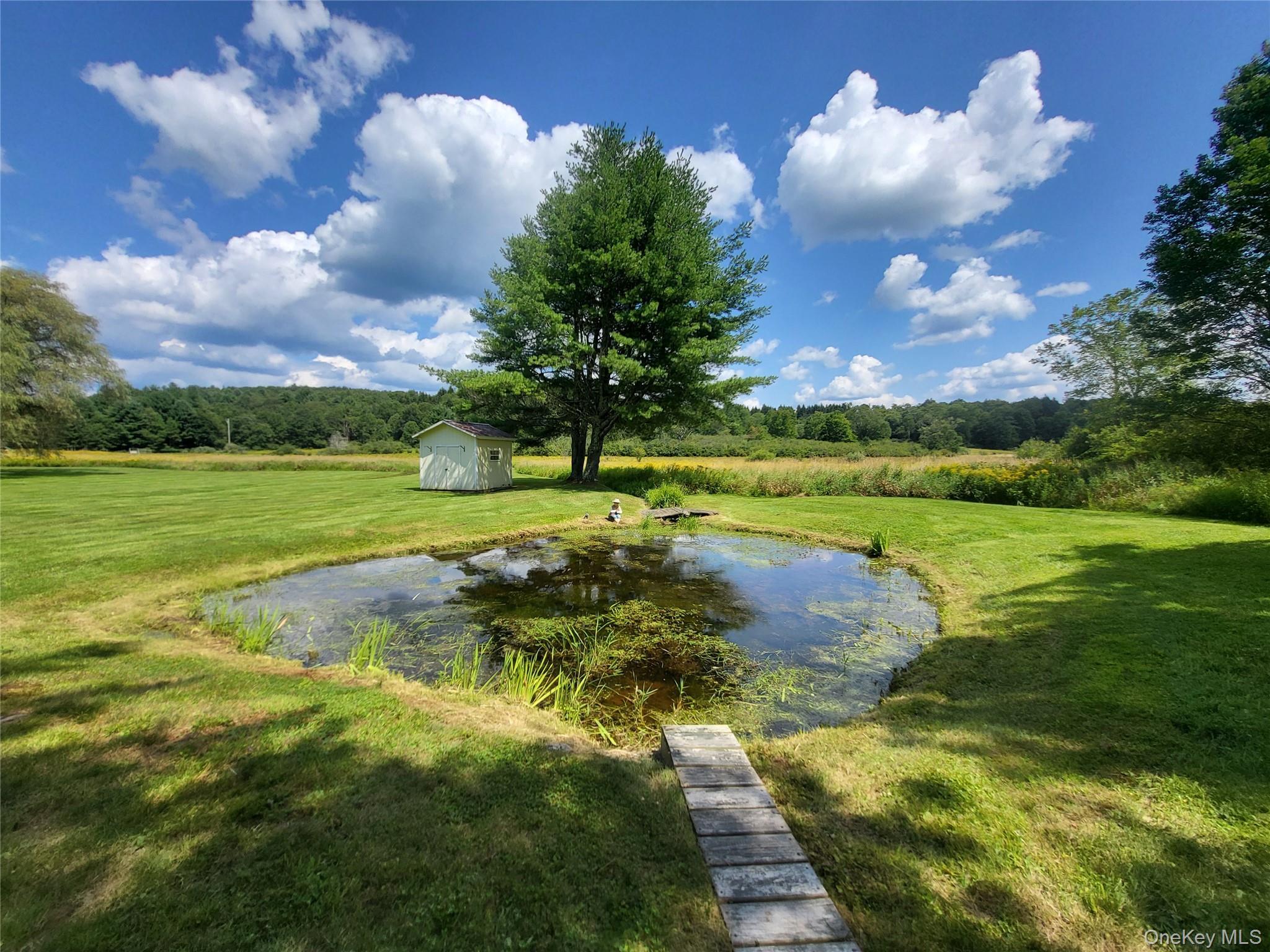 Single Family Behr Road  Sullivan County, NY 12748, MLS-1039198-32