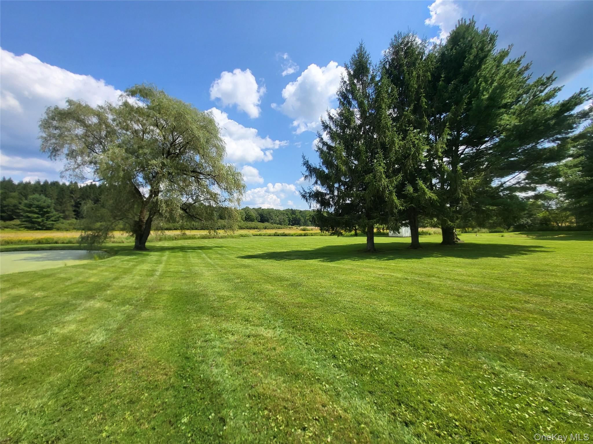 Single Family Behr Road  Sullivan County, NY 12748, MLS-1039198-35