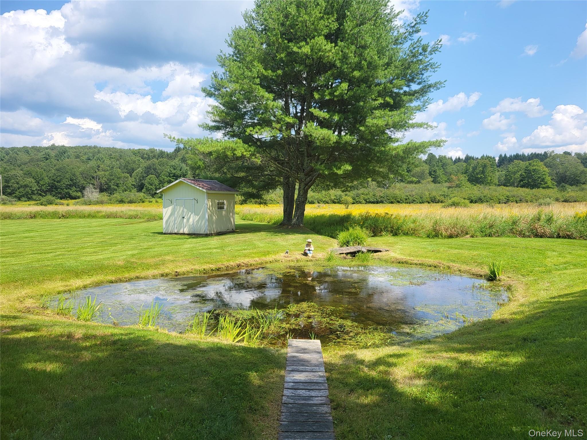 Single Family Behr Road  Sullivan County, NY 12748, MLS-1039198-6
