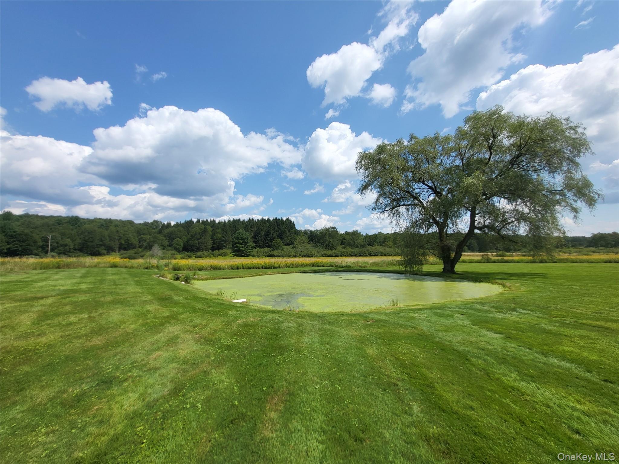 Single Family Behr Road  Sullivan County, NY 12748, MLS-1039198-8