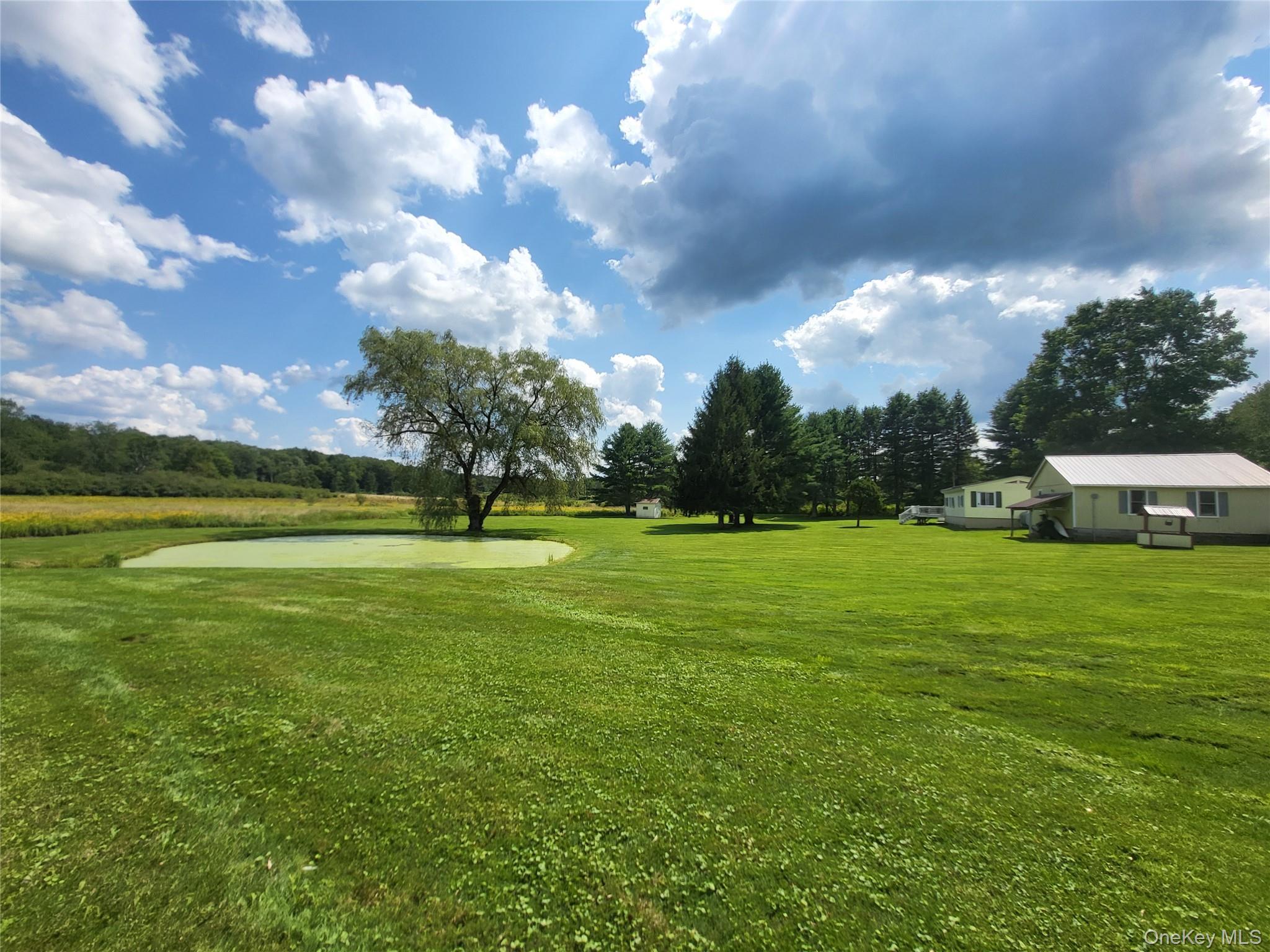 Single Family Behr Road  Sullivan County, NY 12748, MLS-1039198-9