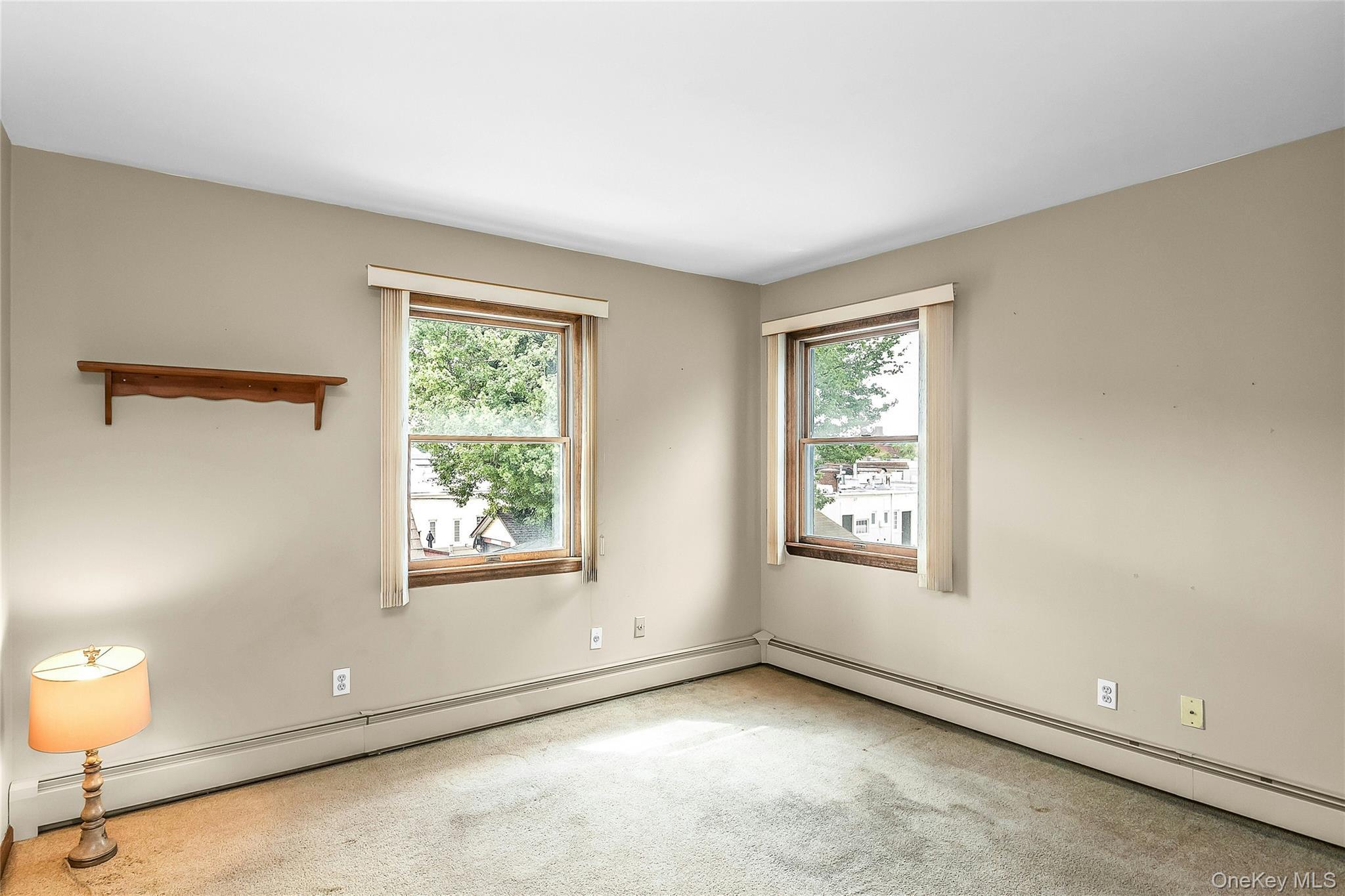 Single Family Gabriel Avenue Nassau County, NY 11010, MLS-1039241-16