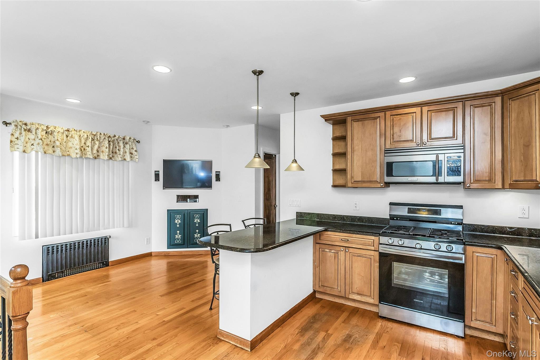 Single Family Gabriel Avenue Nassau County, NY 11010, MLS-1039241-9