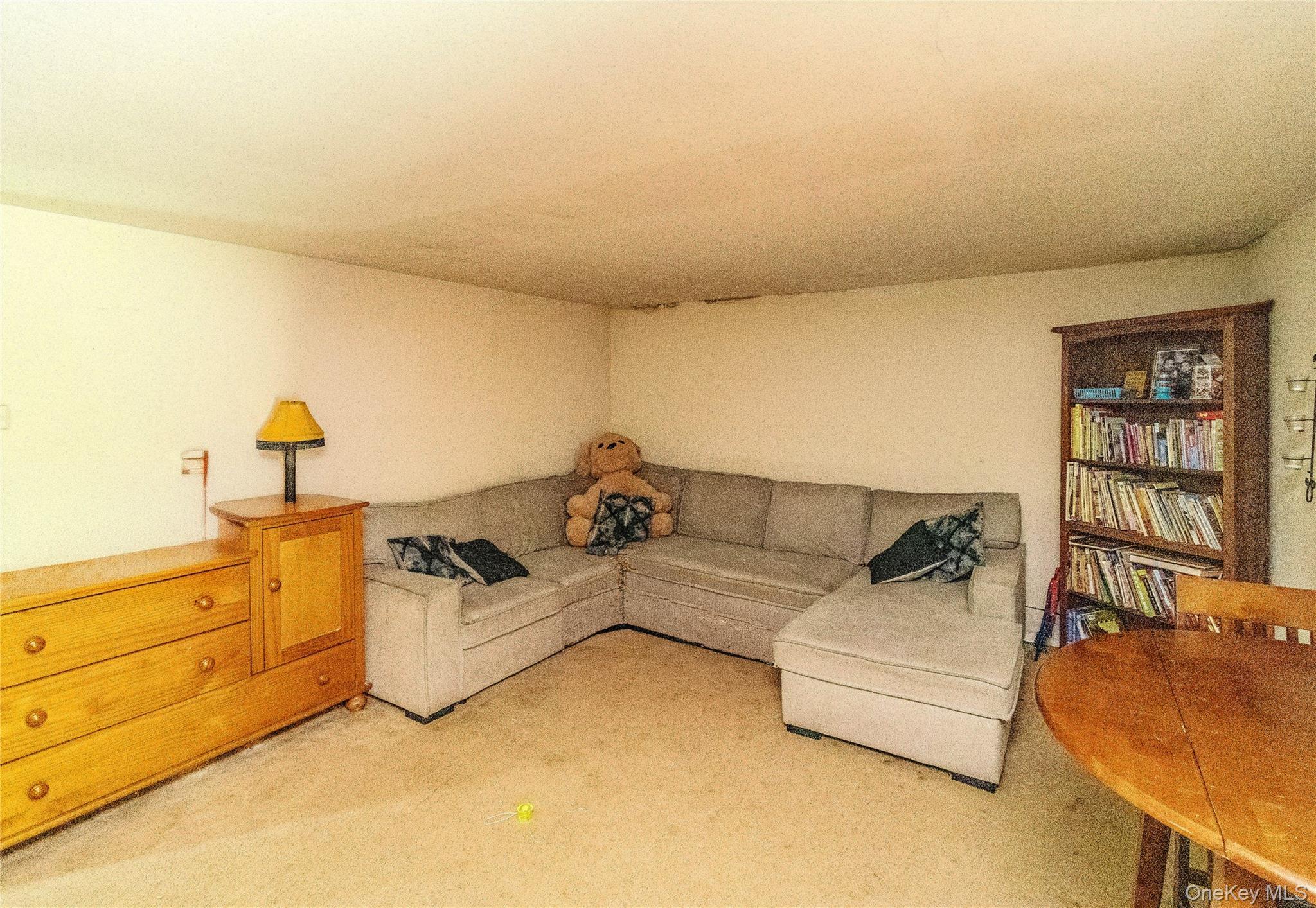Single Family Riley Road Orange County, NY 12553, MLS-1039263-19