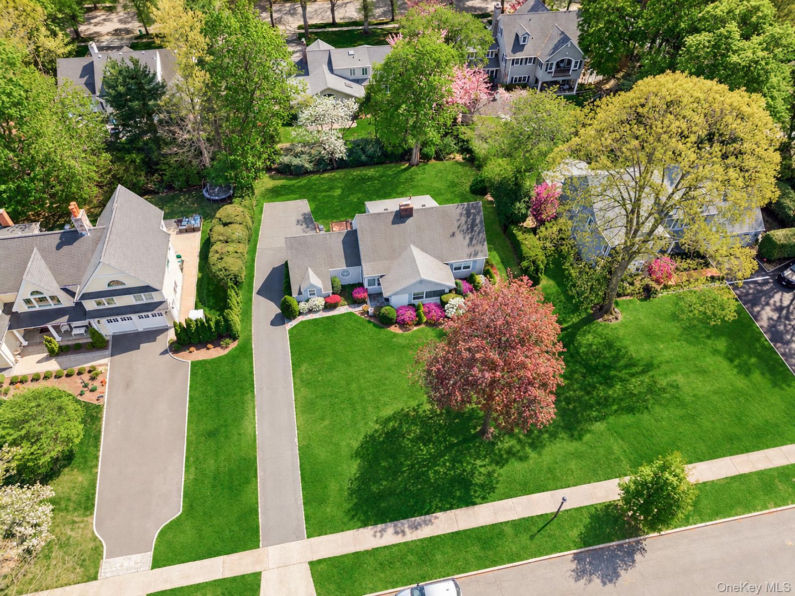 Single Family Brook Street Nassau County, NY 11530, MLS-1039277-3