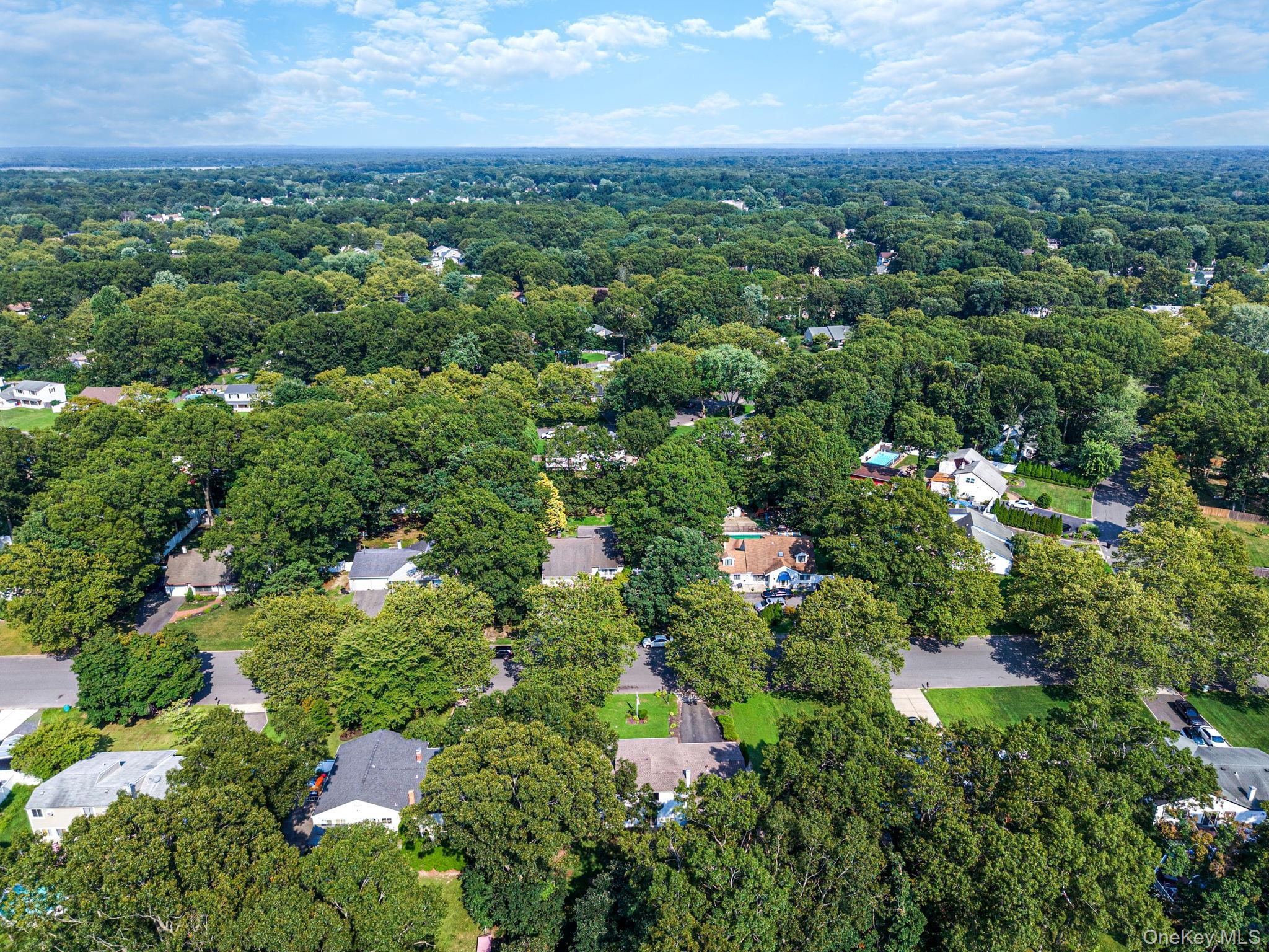 Single Family Sequoia Drive  Suffolk County, NY 11727, MLS-1039283-28