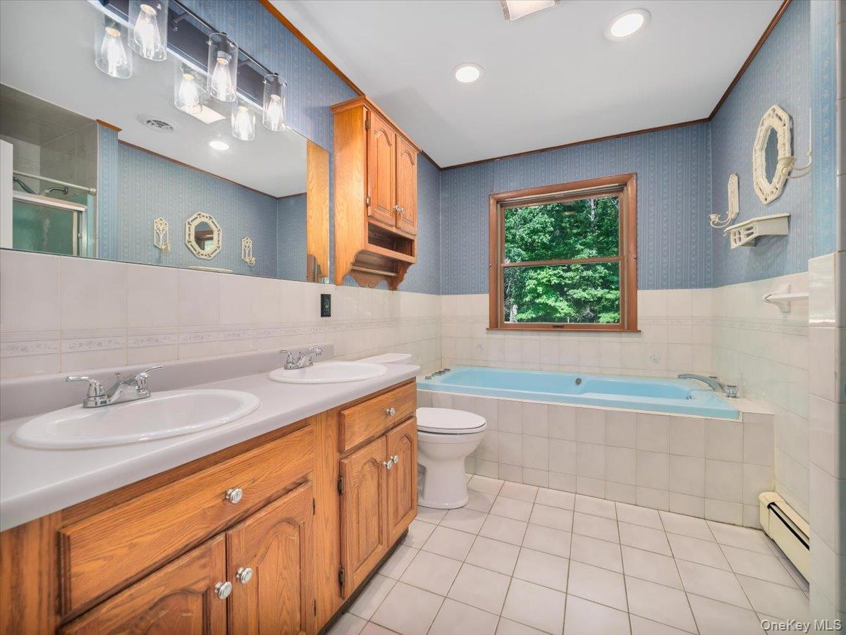 Single Family Somarelli Road Orange County, NY 12746, MLS-1039286-24