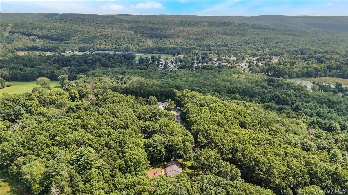 Single Family Somarelli Road Orange County, NY 12746, MLS-1039286-44