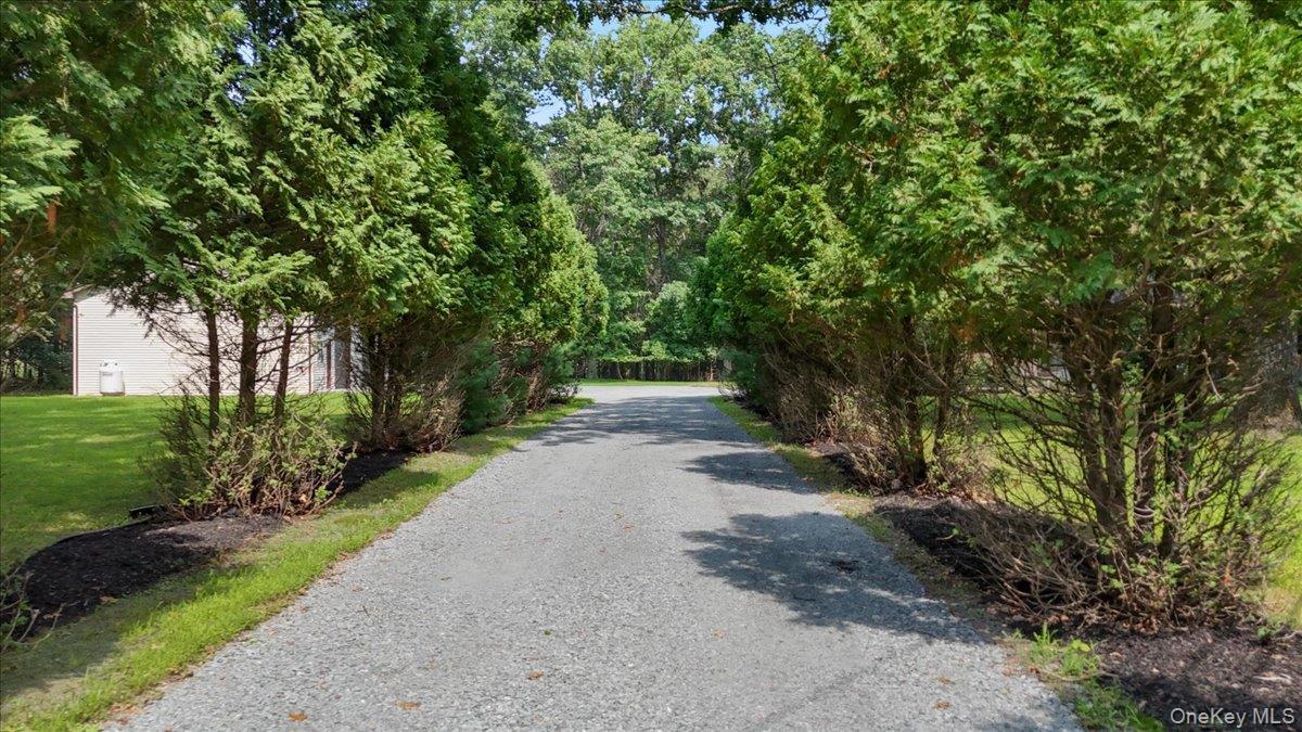 Single Family Somarelli Road Orange County, NY 12746, MLS-1039286-8