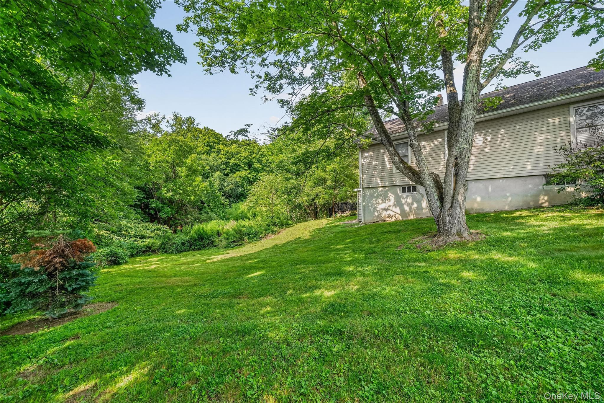 Single Family Main Street Orange County, NY 10988, MLS-1039303-29