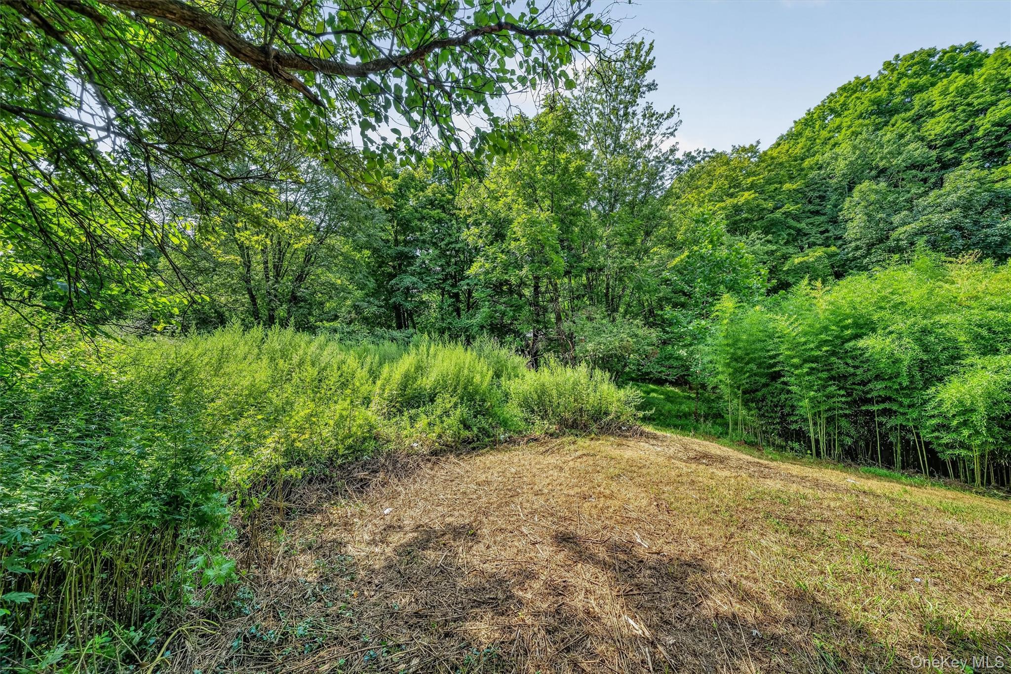 Single Family Main Street  Orange County, NY 10988, MLS-1039303-32