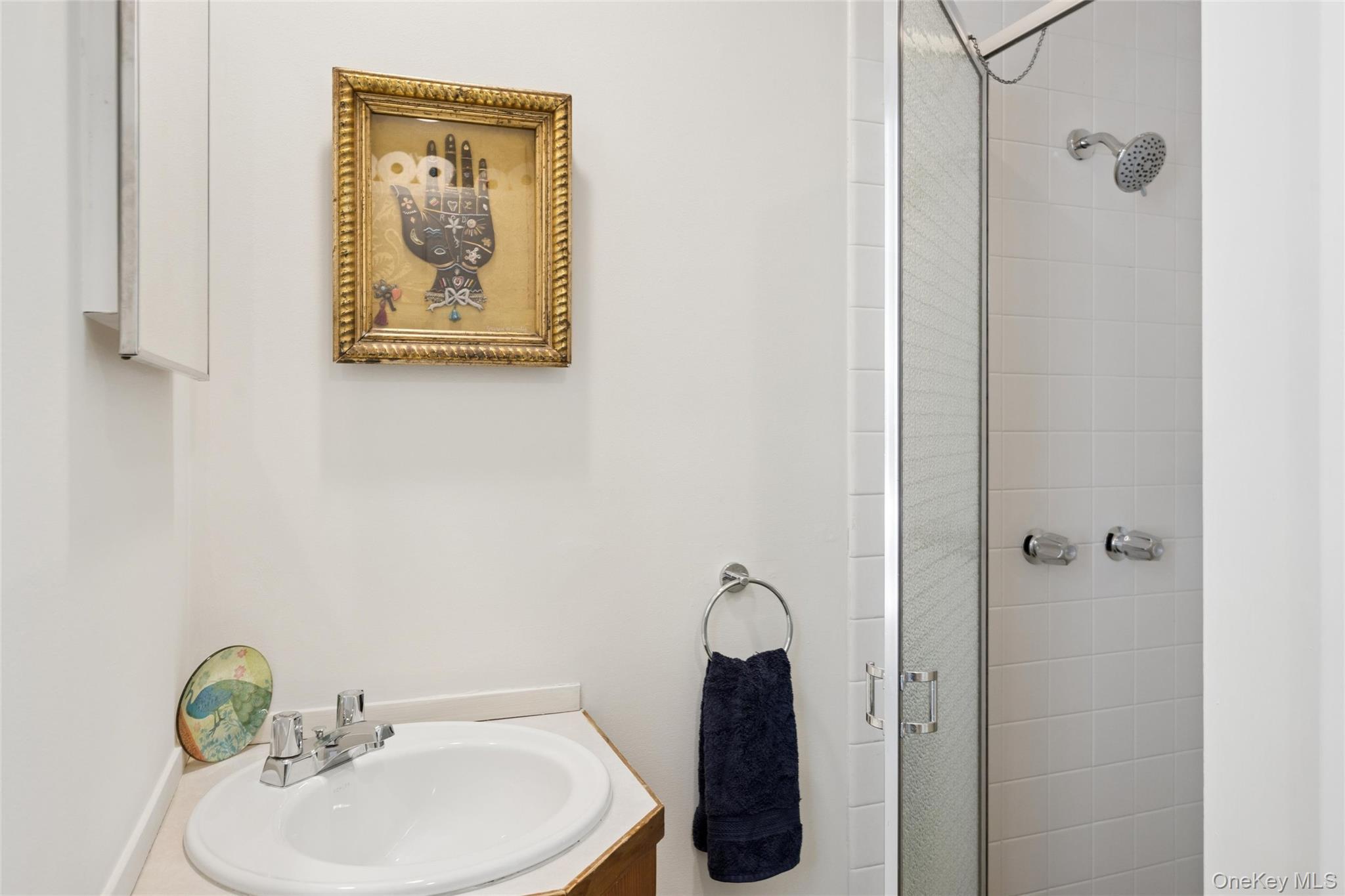 Single Family Hands Creek Road Suffolk County, NY 11937, MLS-1039312-23