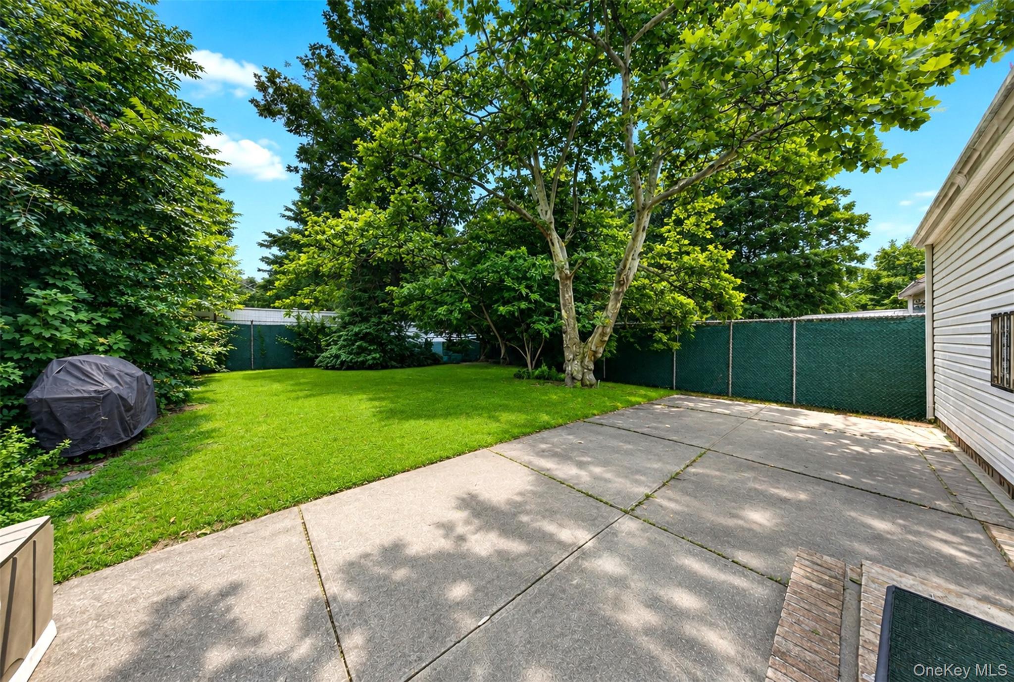 Single Family 123rd Street  Queens, NY 11356, MLS-1039333-8