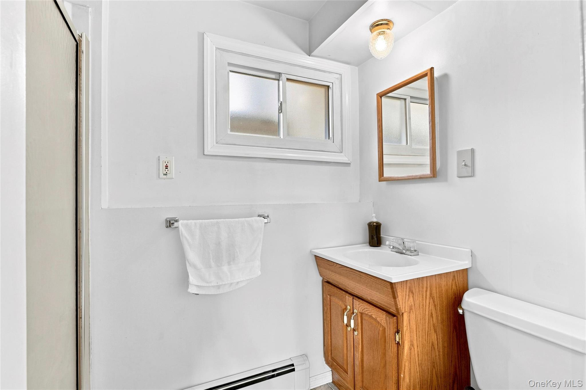 Single Family Cottonwood Drive Suffolk County, NY 11725, MLS-1039345-11