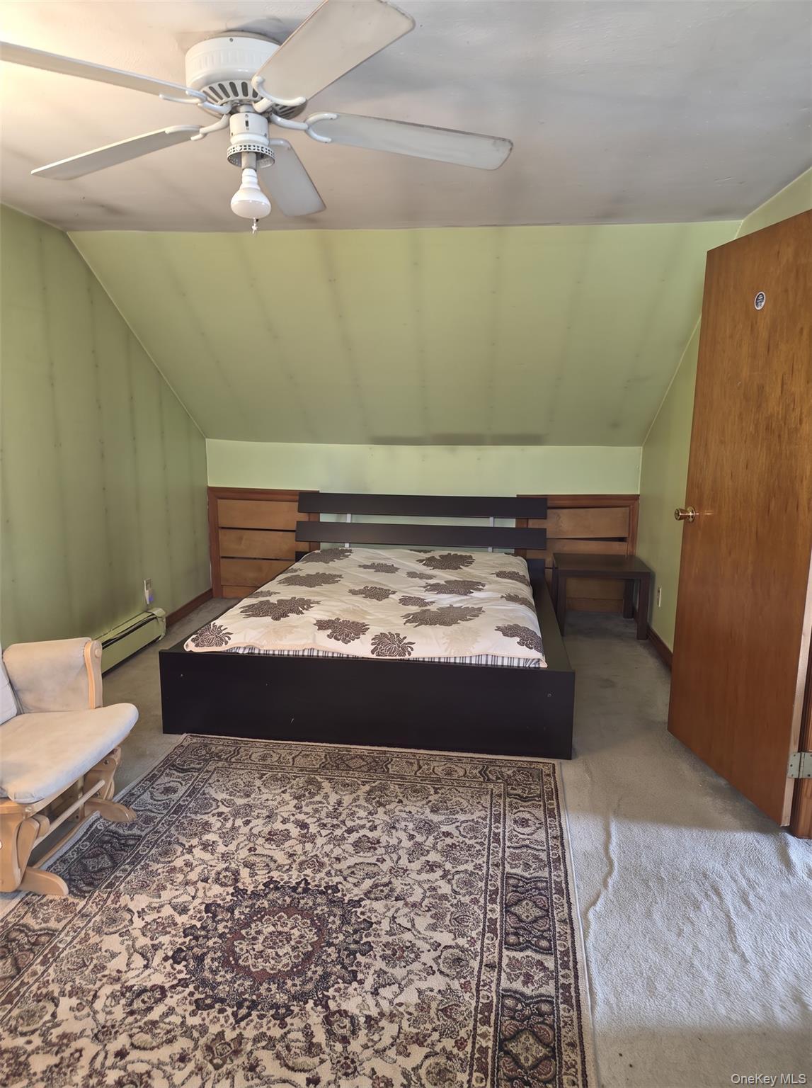 Single Family Miller Road  Nassau County, NY 11801, MLS-1039376-10
