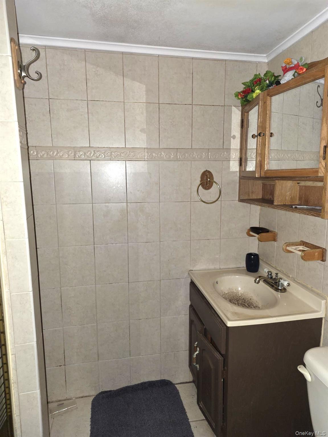 Single Family Miller Road  Nassau County, NY 11801, MLS-1039376-13