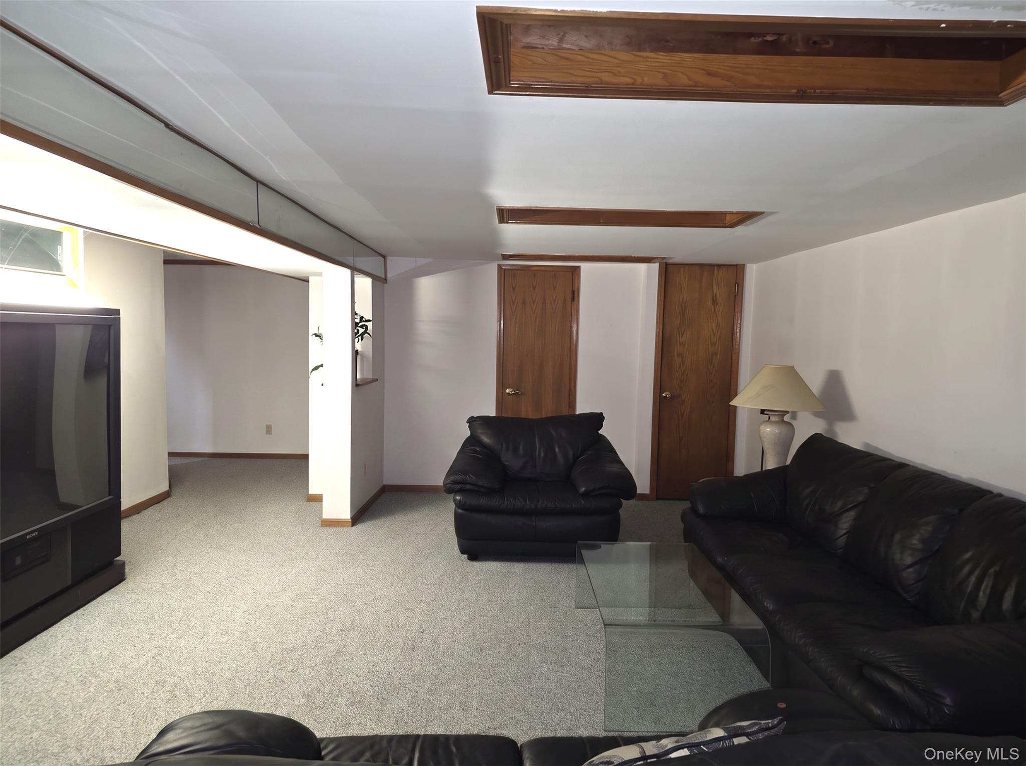 Single Family Miller Road  Nassau County, NY 11801, MLS-1039376-15