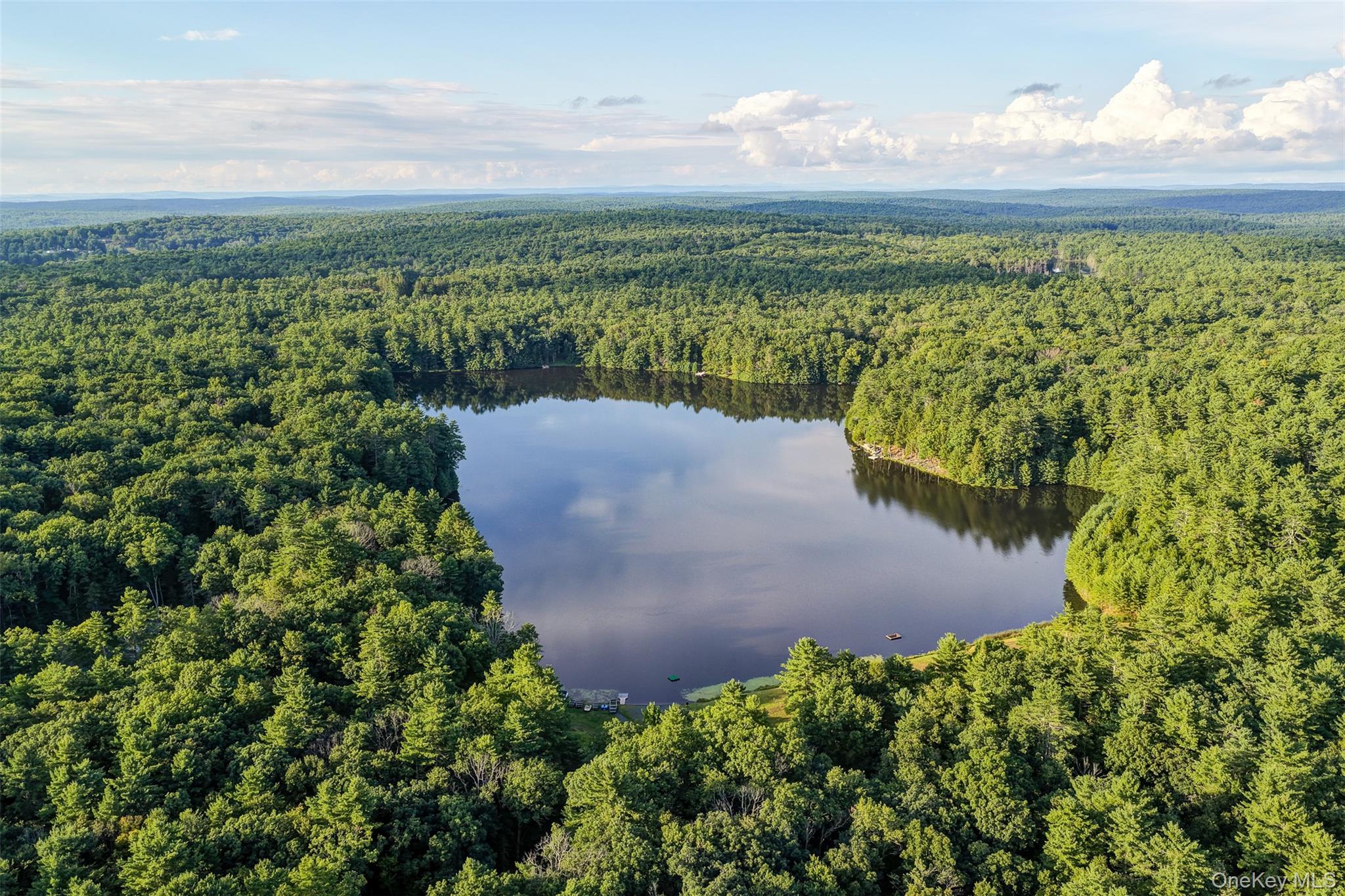 Single Family Timber Lake Drive Sullivan County, NY 12792, MLS-1039419-3