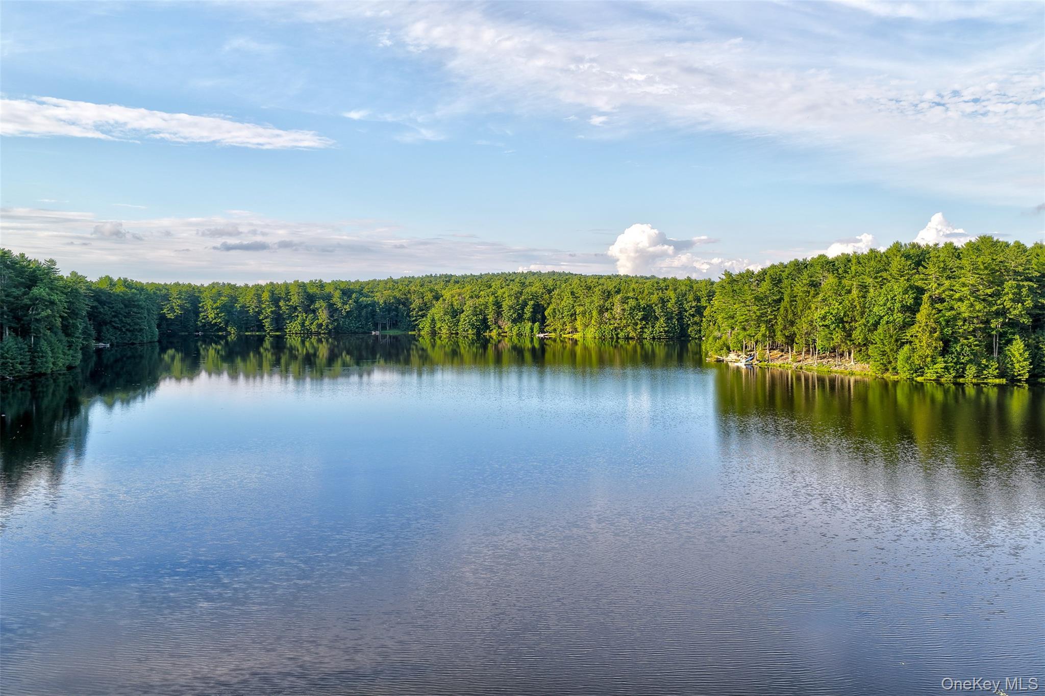Single Family Timber Lake Drive Sullivan County, NY 12792, MLS-1039419-38