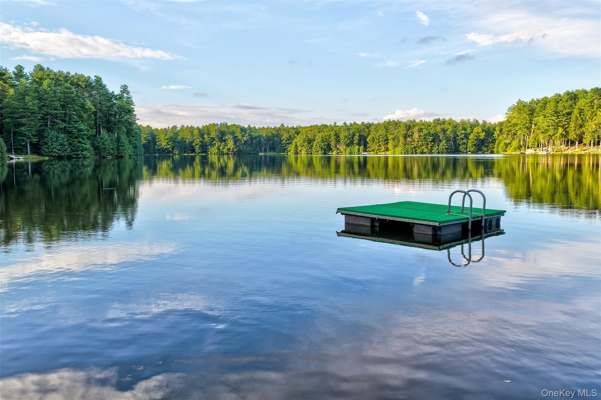 Single Family Timber Lake Drive Sullivan County, NY 12792, MLS-1039419-39