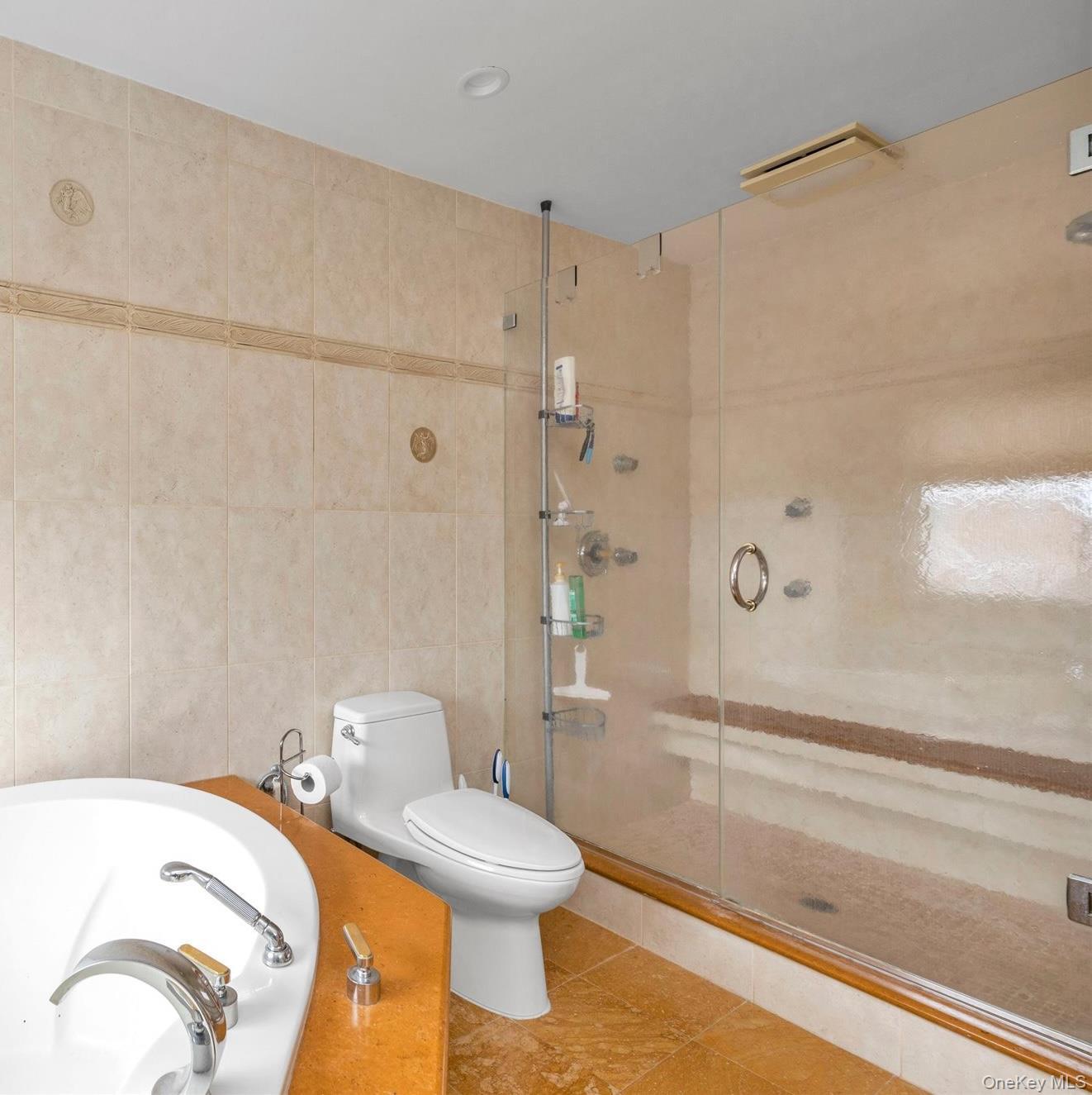 Single Family Legion Street Nassau County, NY 11710, MLS-1039426-15