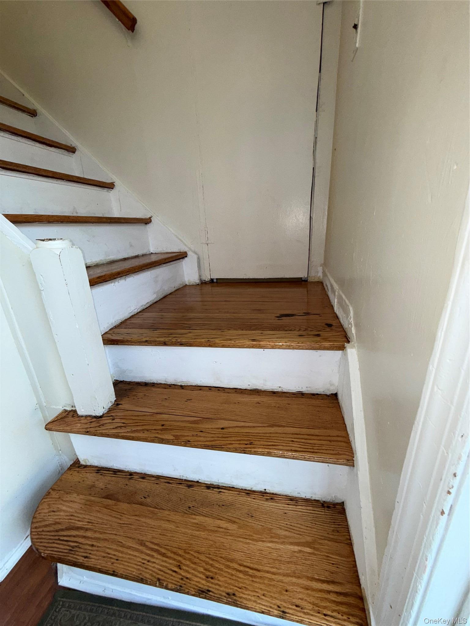 Single Family Newbridge Road  Nassau County, NY 11710, MLS-1039433-29
