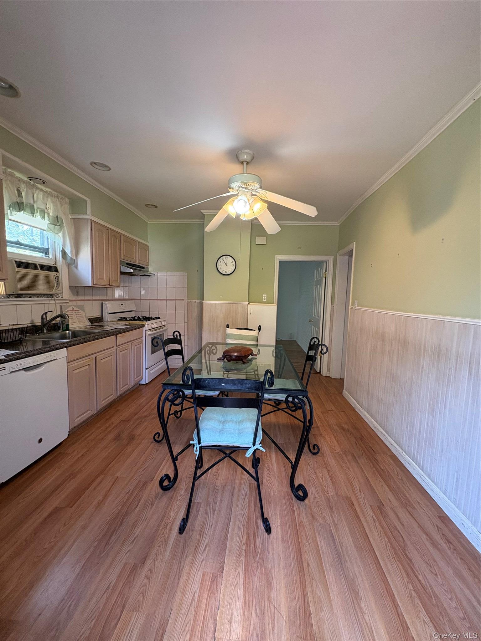 Single Family Hempstead Avenue Nassau County, NY 11570, MLS-1039442-13