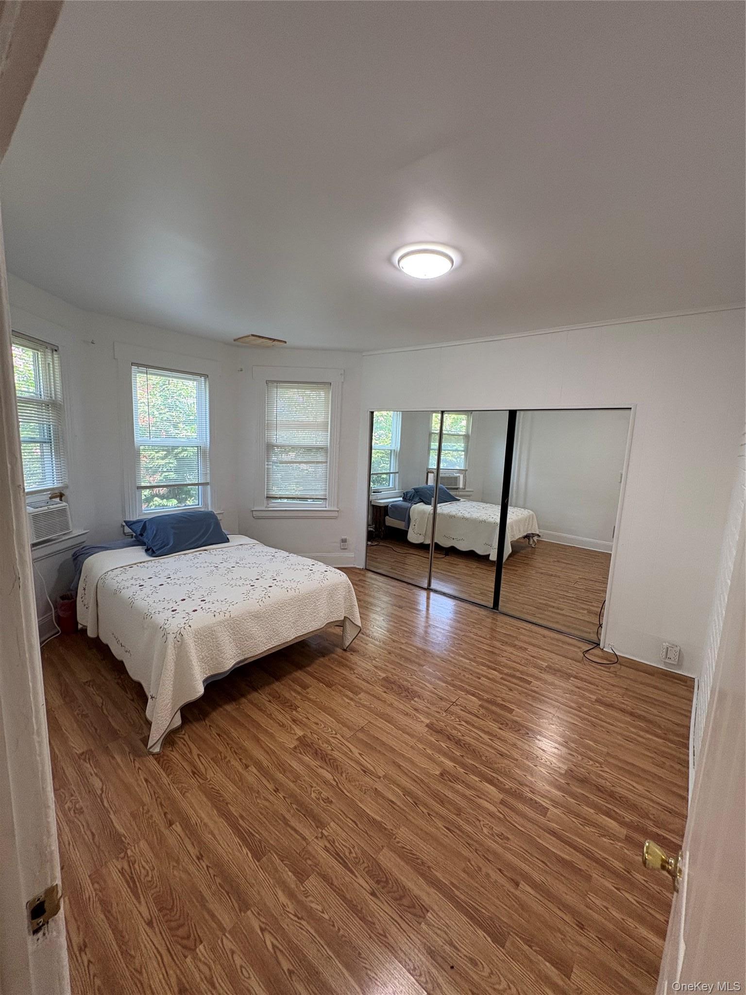 Single Family Hempstead Avenue Nassau County, NY 11570, MLS-1039442-8