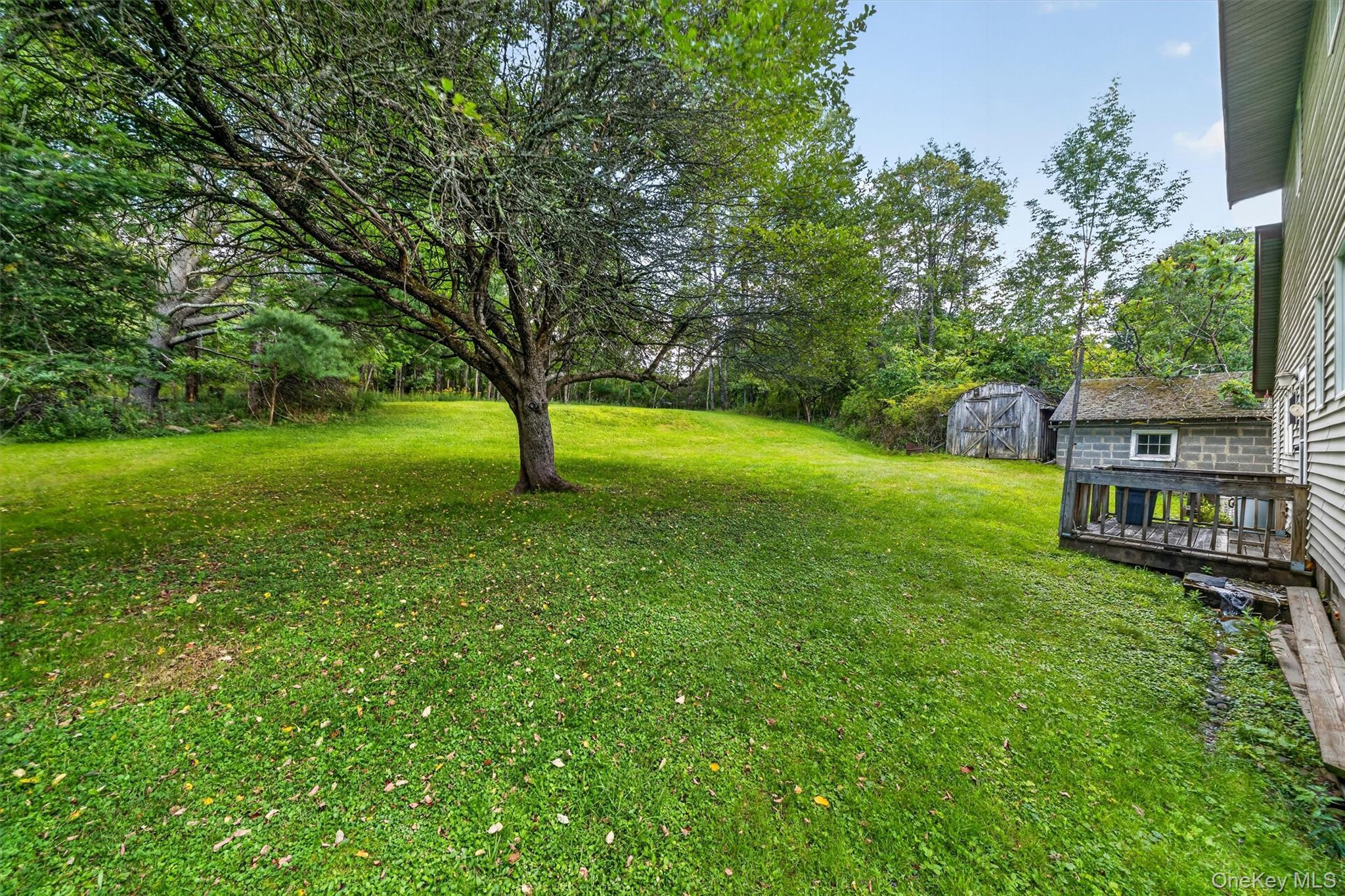 Single Family Main Street Sullivan County, NY 12758, MLS-1039450-20