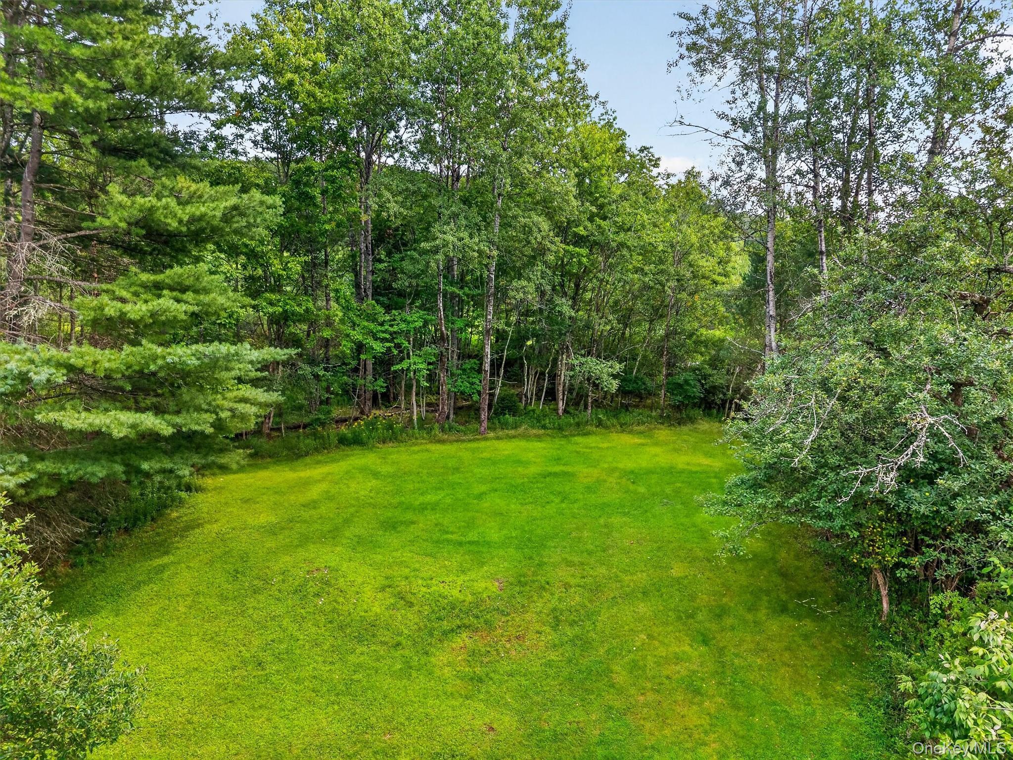 Single Family Main Street Sullivan County, NY 12758, MLS-1039450-24