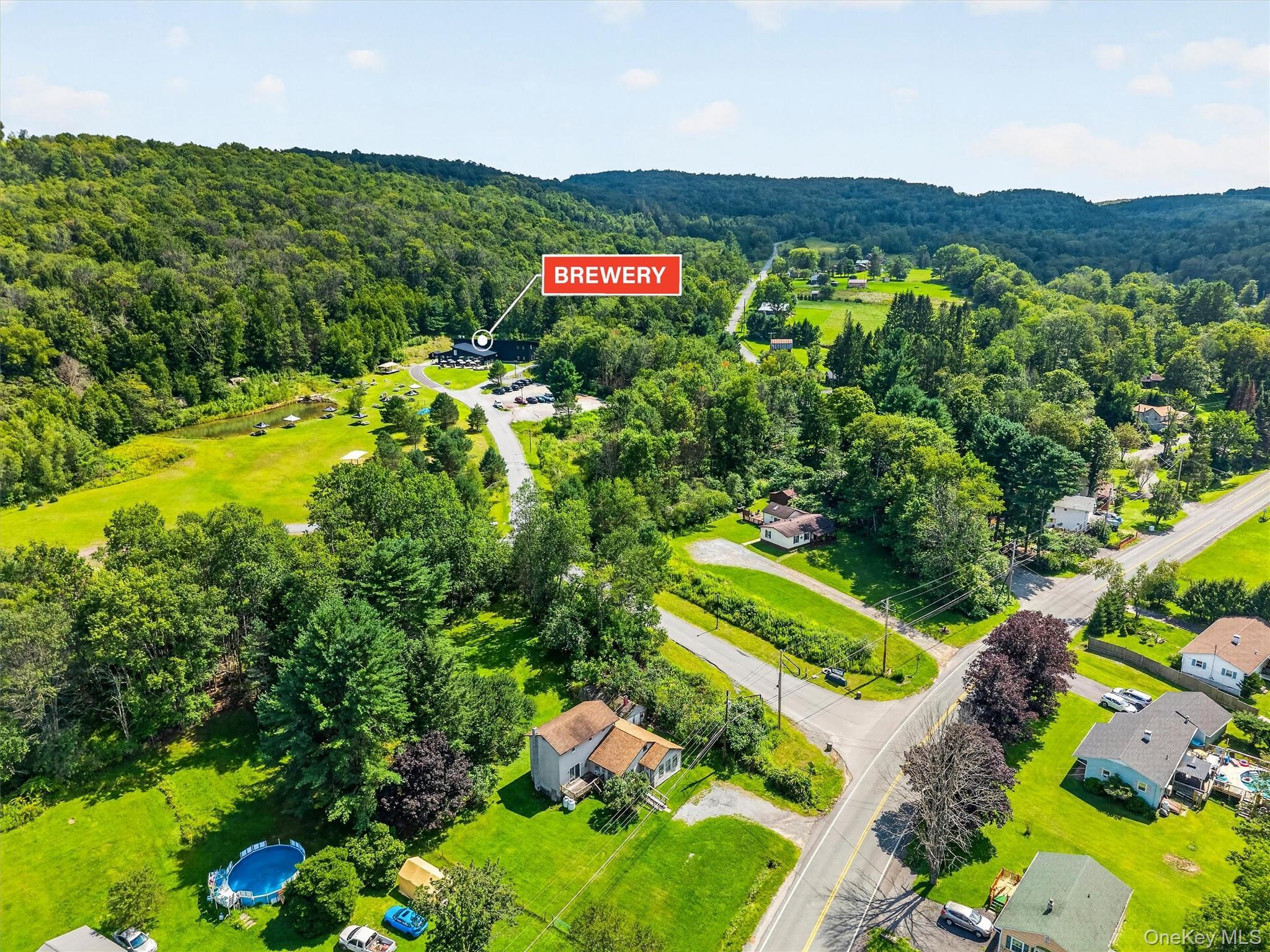 Single Family Main Street Sullivan County, NY 12758, MLS-1039450-25