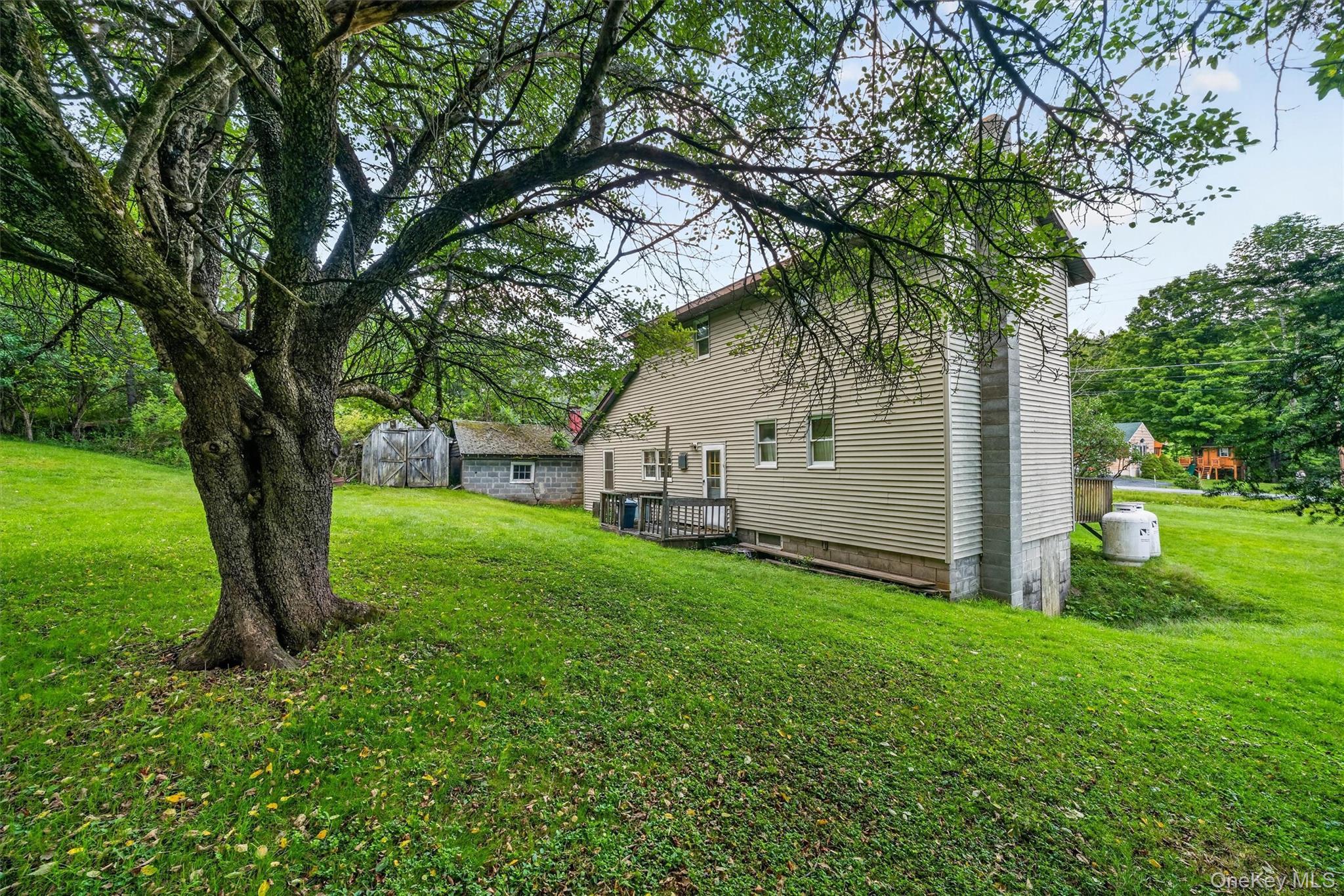 Single Family Main Street Sullivan County, NY 12758, MLS-1039450-5
