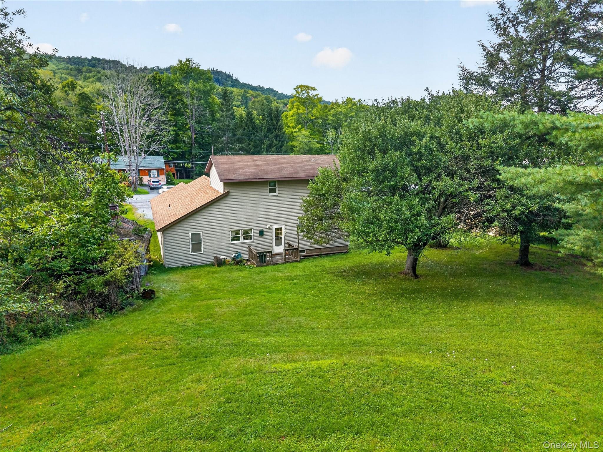 Single Family Main Street Sullivan County, NY 12758, MLS-1039450-6
