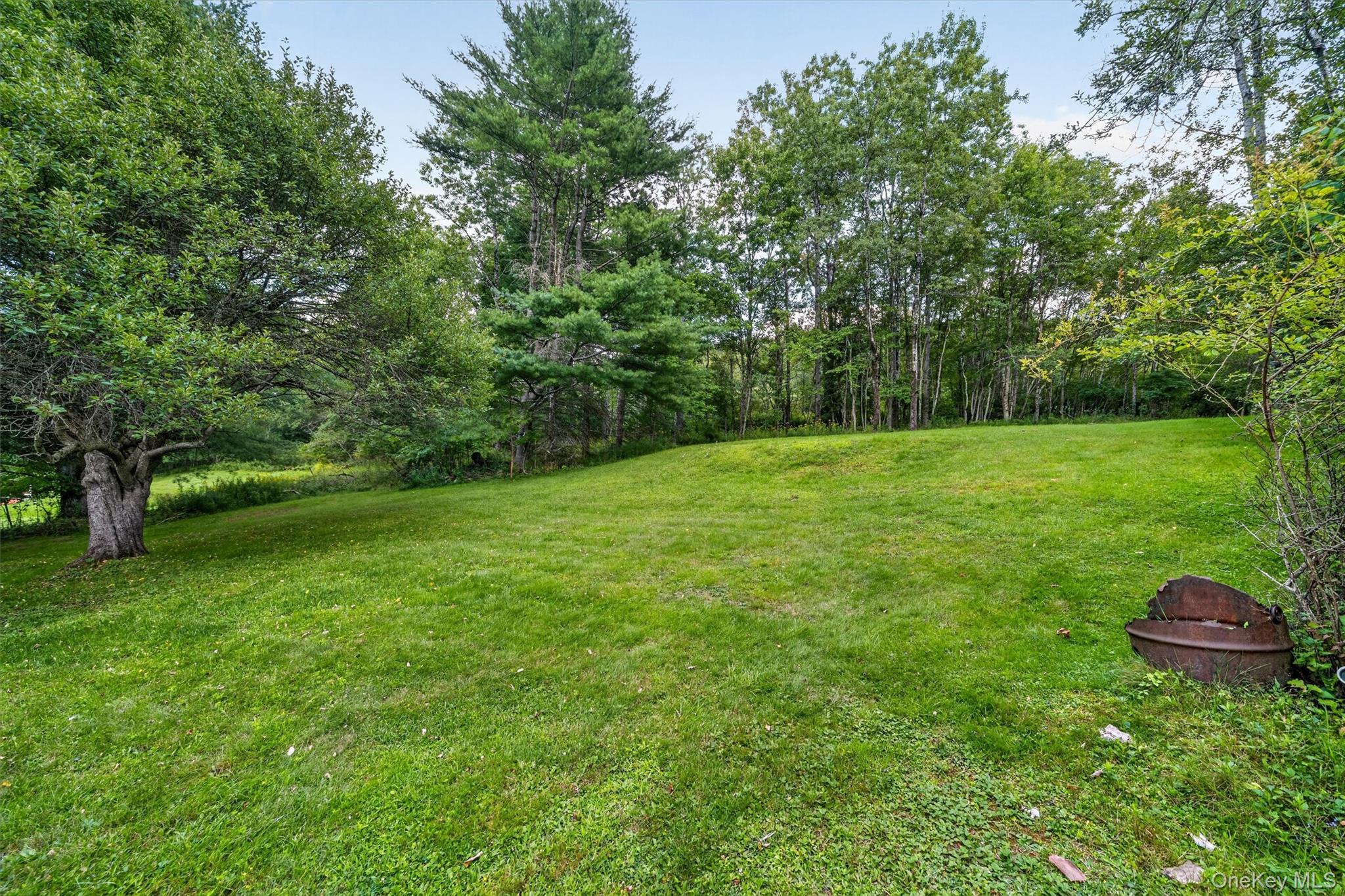 Single Family Main Street Sullivan County, NY 12758, MLS-1039450-7