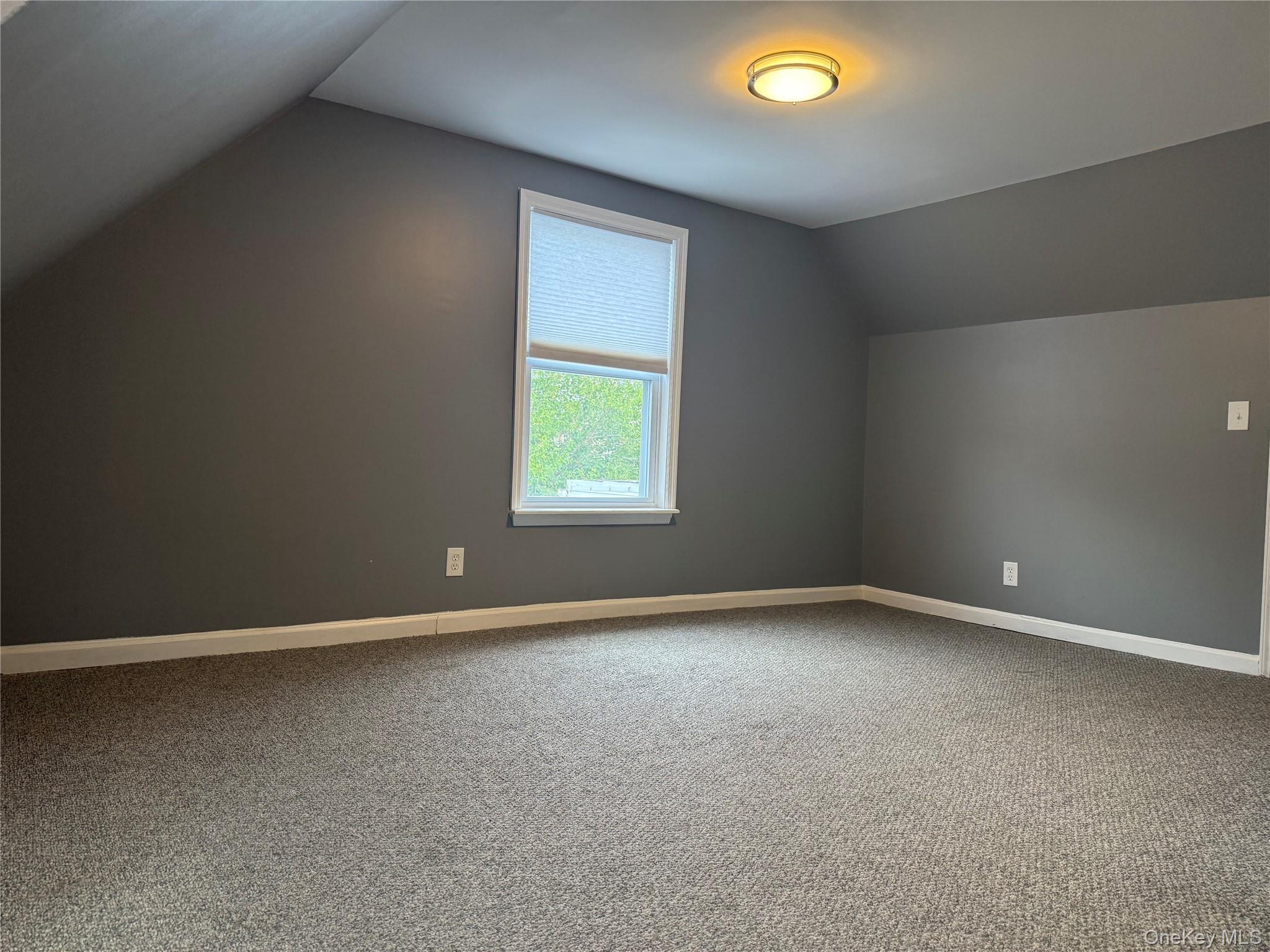 Single Family Hone Avenue Bronx, NY 10461, MLS-1039504-23