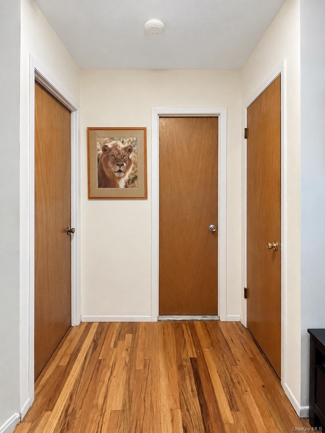 Single Family Mac Donough Place  Bronx, NY 10465, MLS-1039516-32