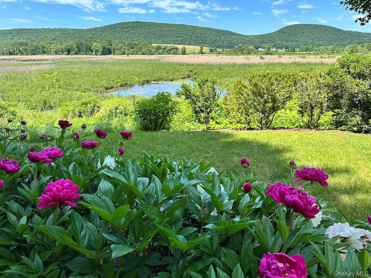 Single Family Boston Corners Road  Dutchess County, NY 12546, MLS-1039556-2