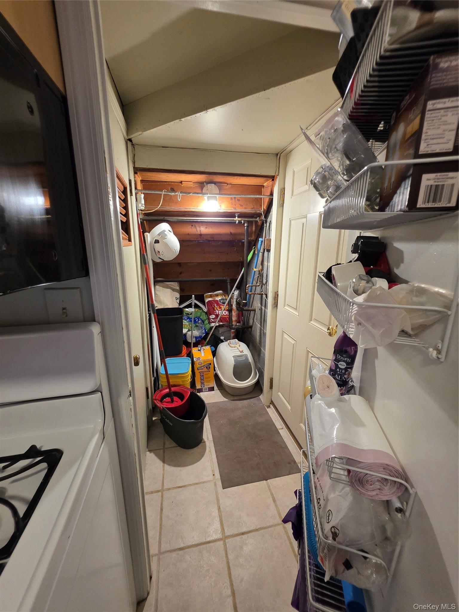 Single Family Elysian Avenue Rockland County, NY 10960, MLS-1039572-8