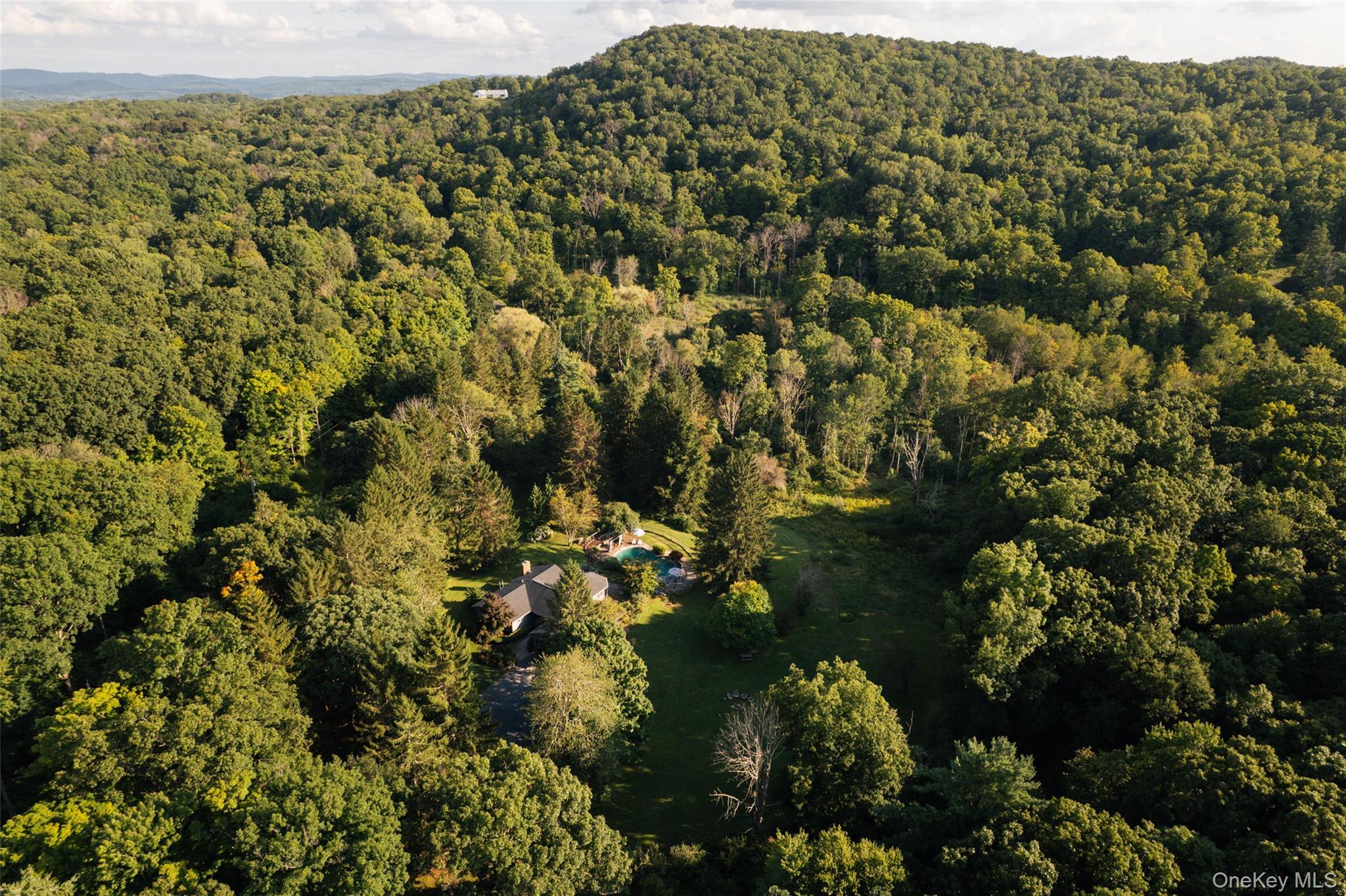 Single Family E Klein Road  Columbia County, NY 12502, MLS-1039595-32