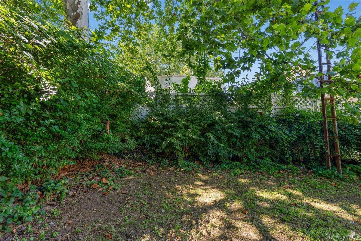 Single Family Willett Avenue Bronx, NY 10467, MLS-1039627-23