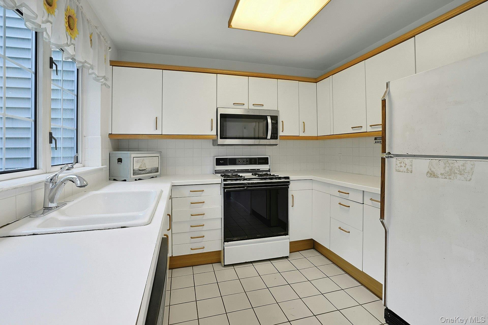 Single Family Pinewood Drive Westchester County, NY 10603, MLS-1039633-13