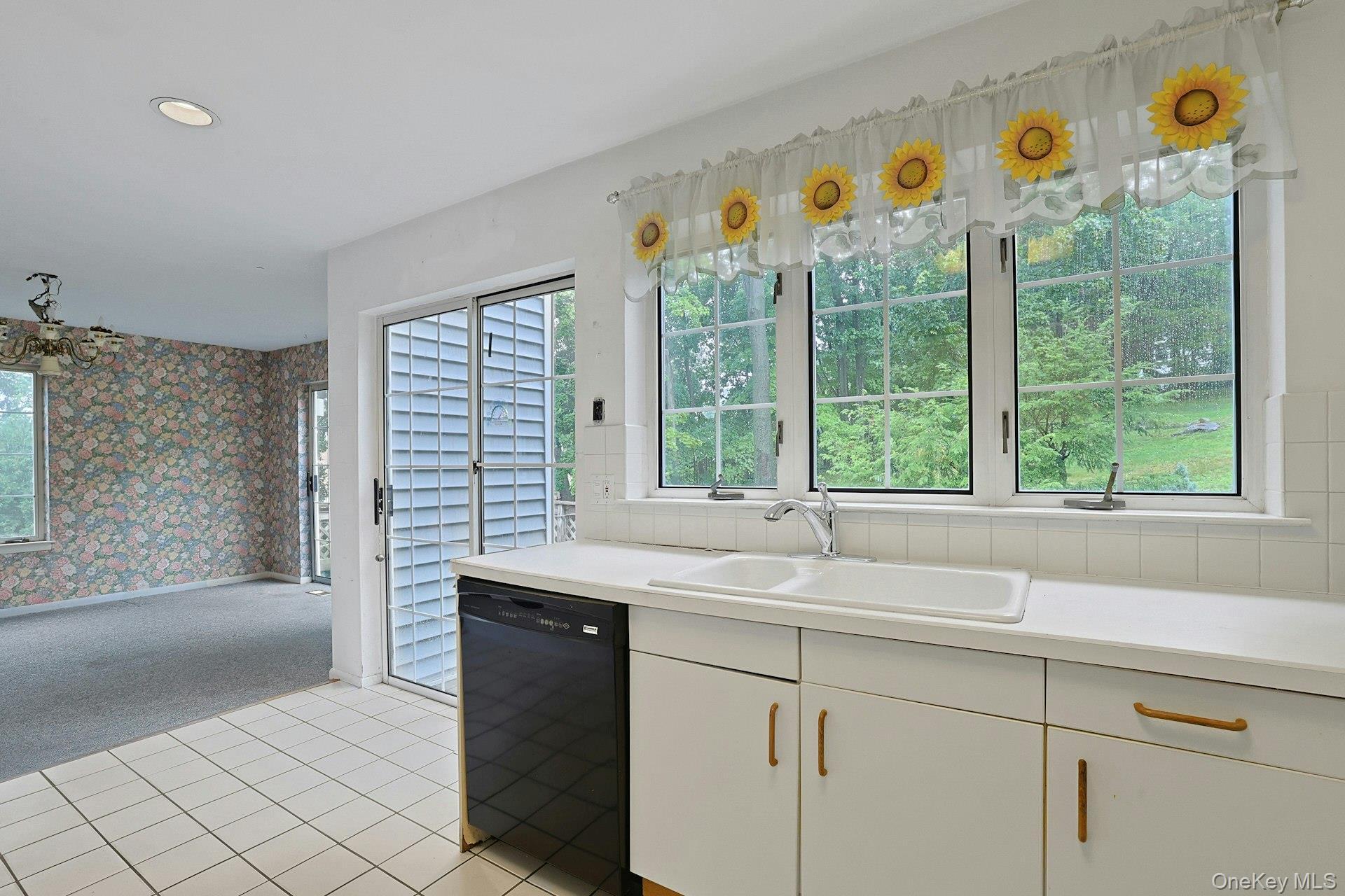 Single Family Pinewood Drive Westchester County, NY 10603, MLS-1039633-15
