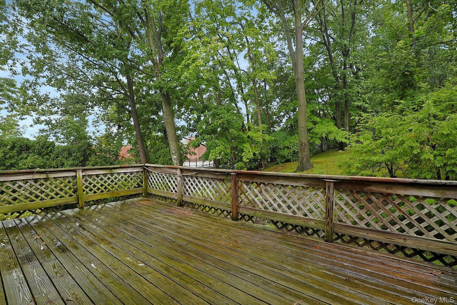 Single Family Pinewood Drive Westchester County, NY 10603, MLS-1039633-33