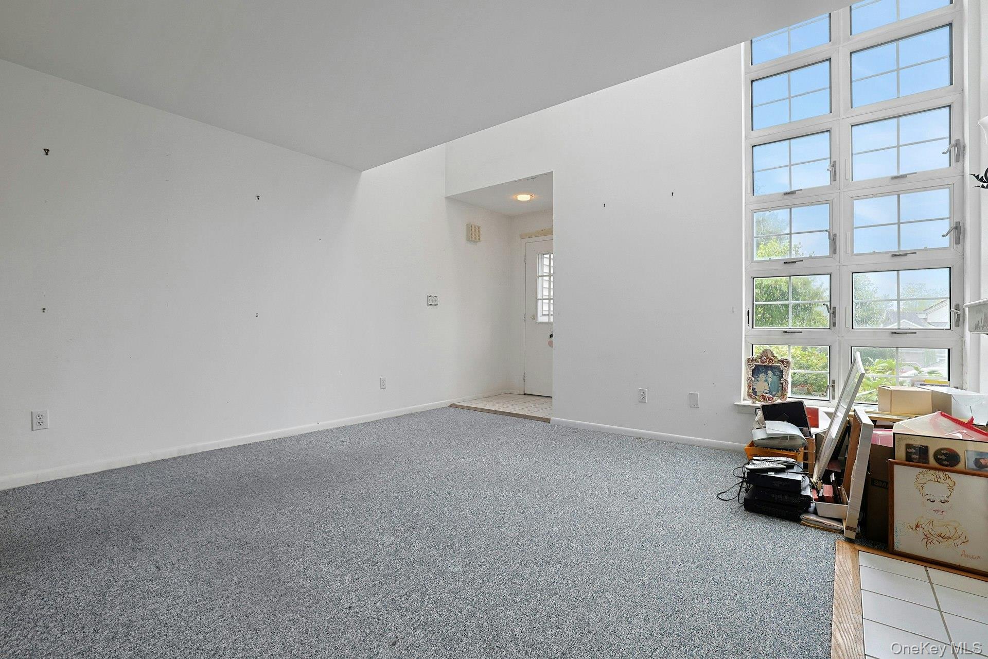 Single Family Pinewood Drive Westchester County, NY 10603, MLS-1039633-4